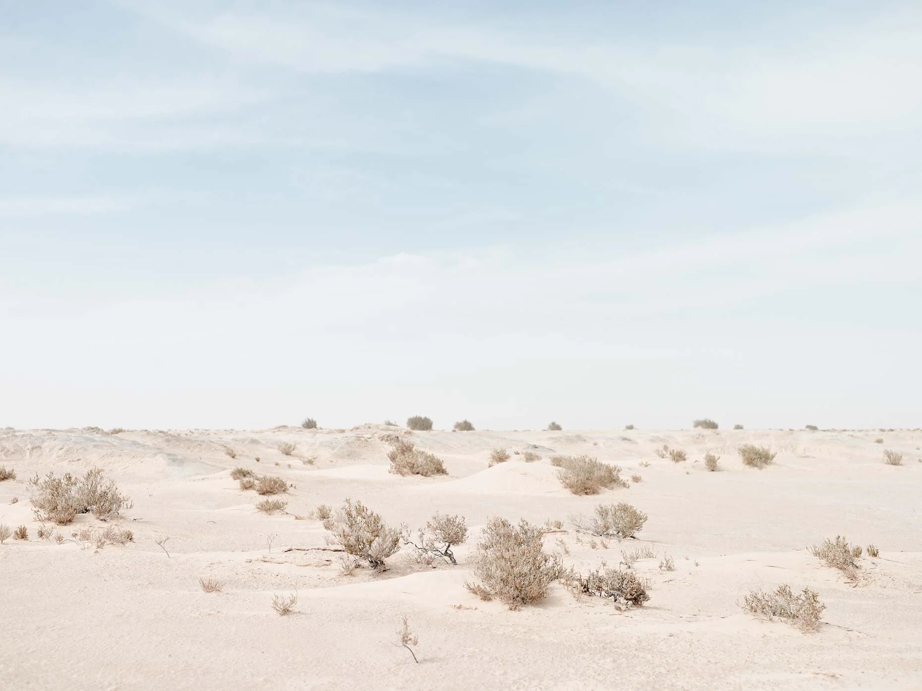 A vast desert landscape with sparse vegetation and small bushes, under a clear sky with some light clouds.