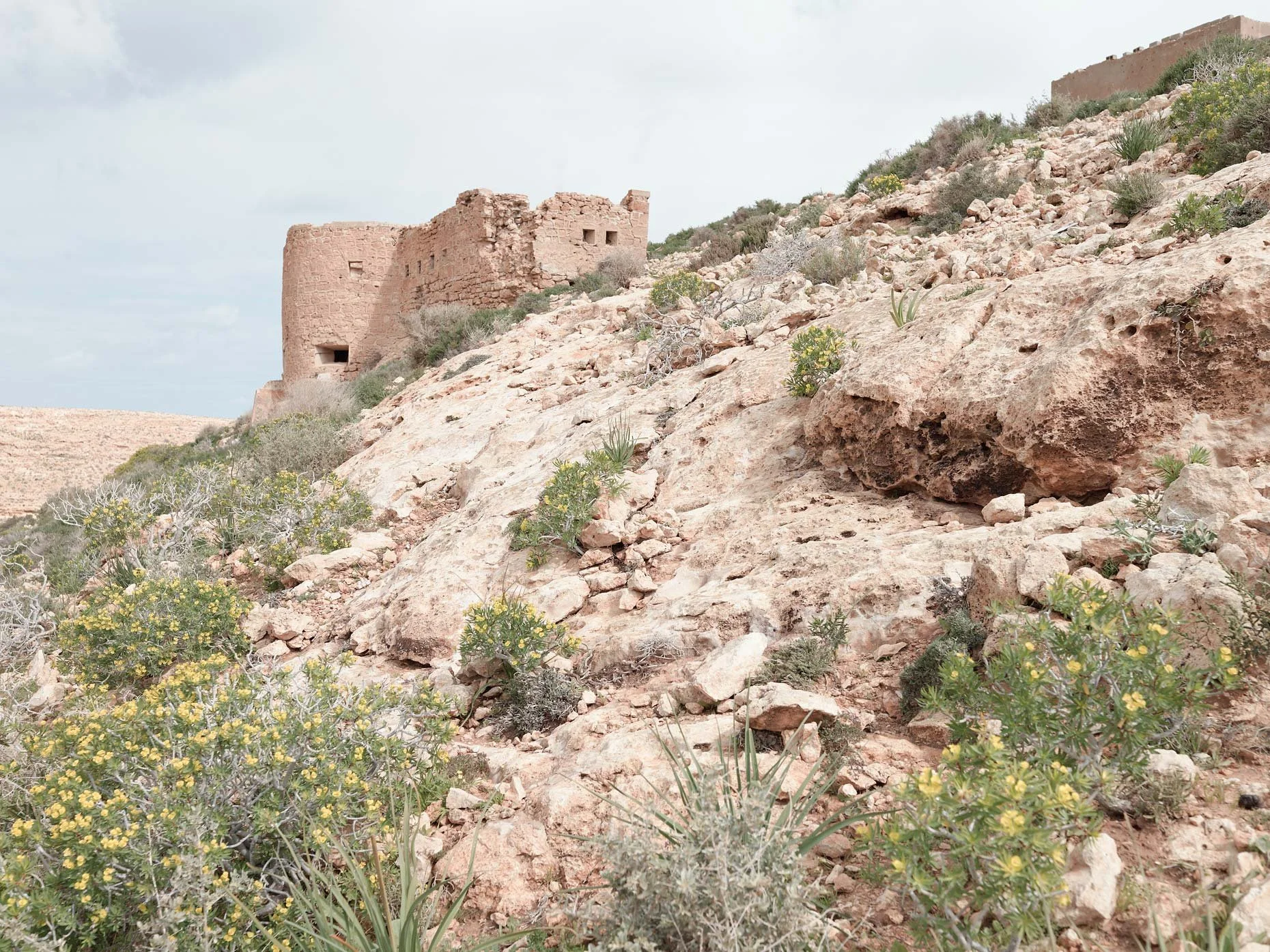 Ancient stone ruins on a hillside with sparse desert vegetation, including small bushes and succulents, under a cloudy sky.