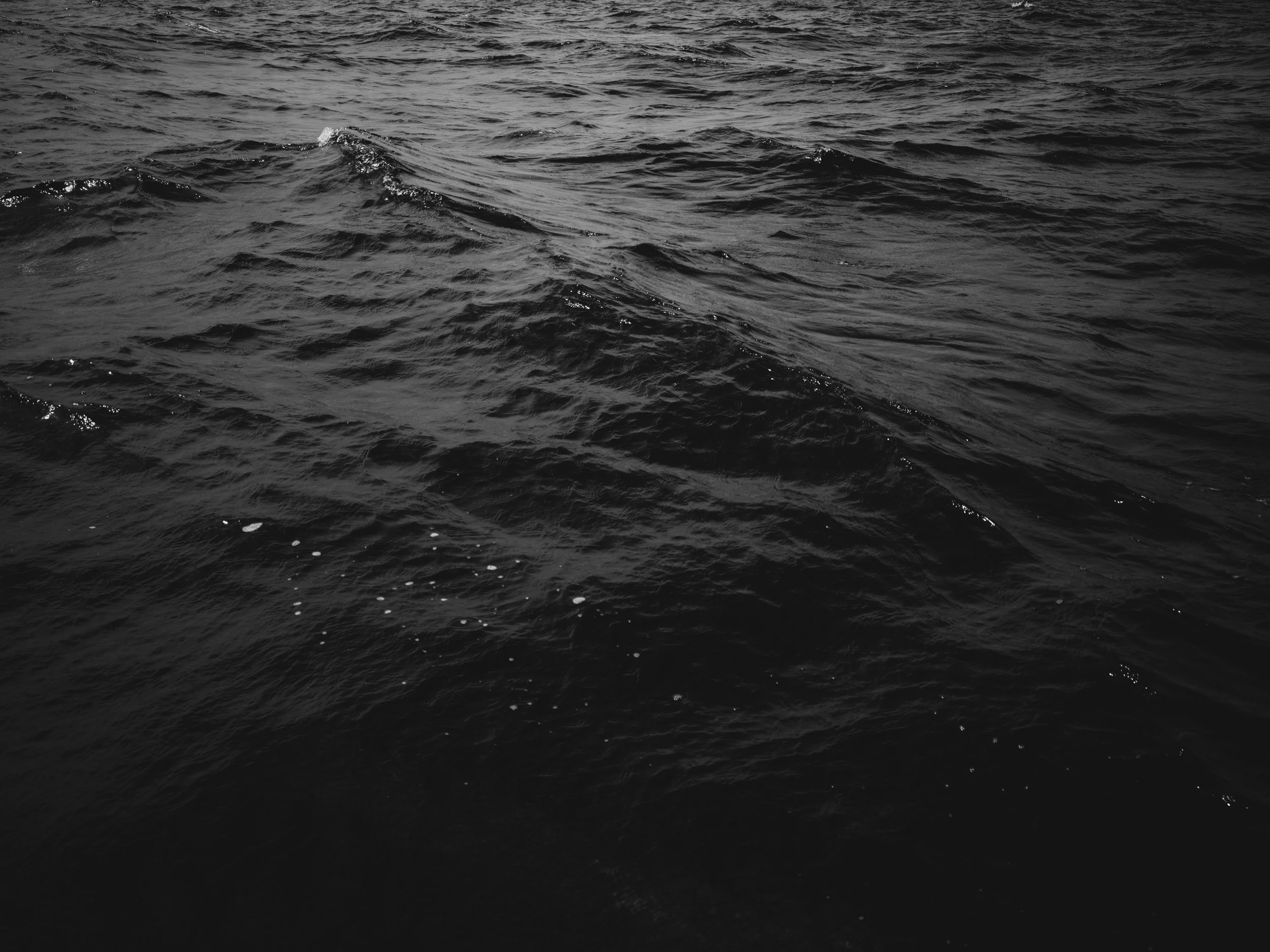 Black and white photo of ocean water with gentle waves and ripples.