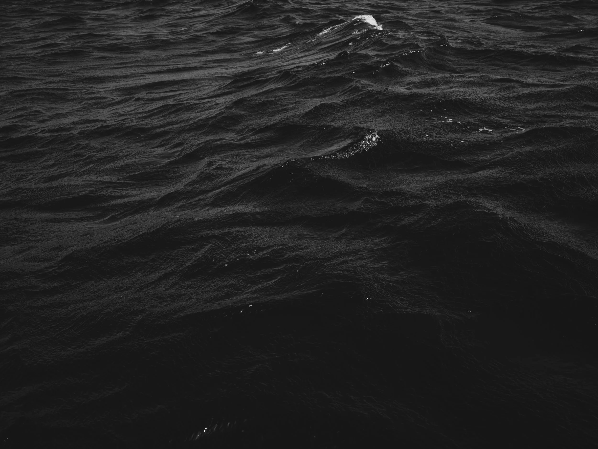 Dark ocean water with small waves and ripples.