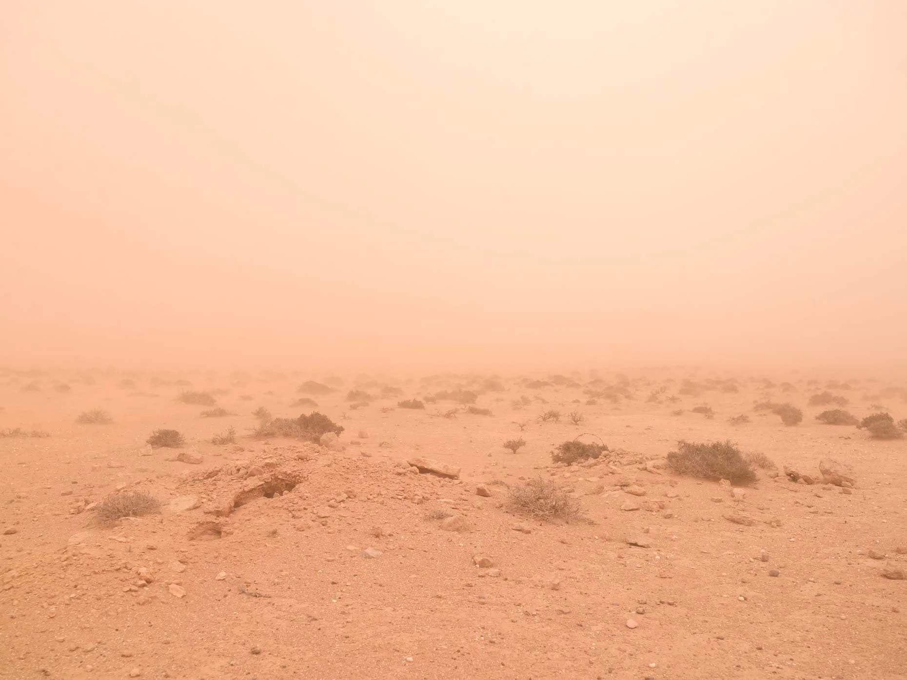 A barren desert landscape with scattered small bushes and rocks, under a hazy, dusty sky.
