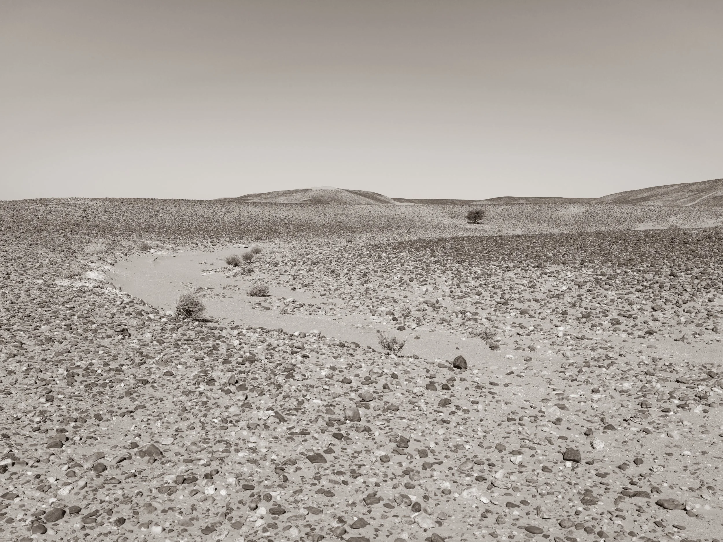 A barren desert landscape with a single small tree in the distance and a cloudy sky.