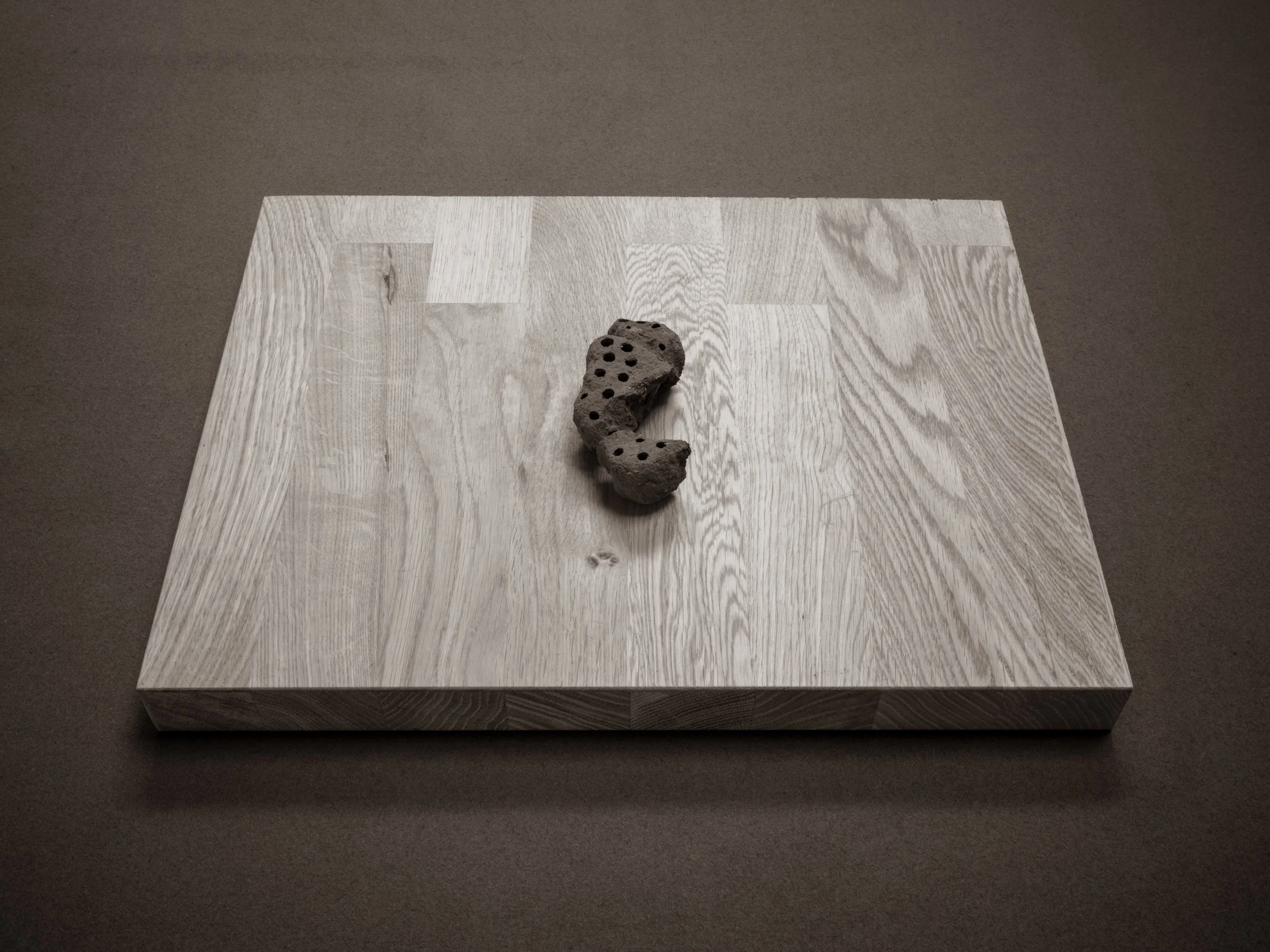 A dark dirt dobber nest with holes, placed on a light-colored wooden table.