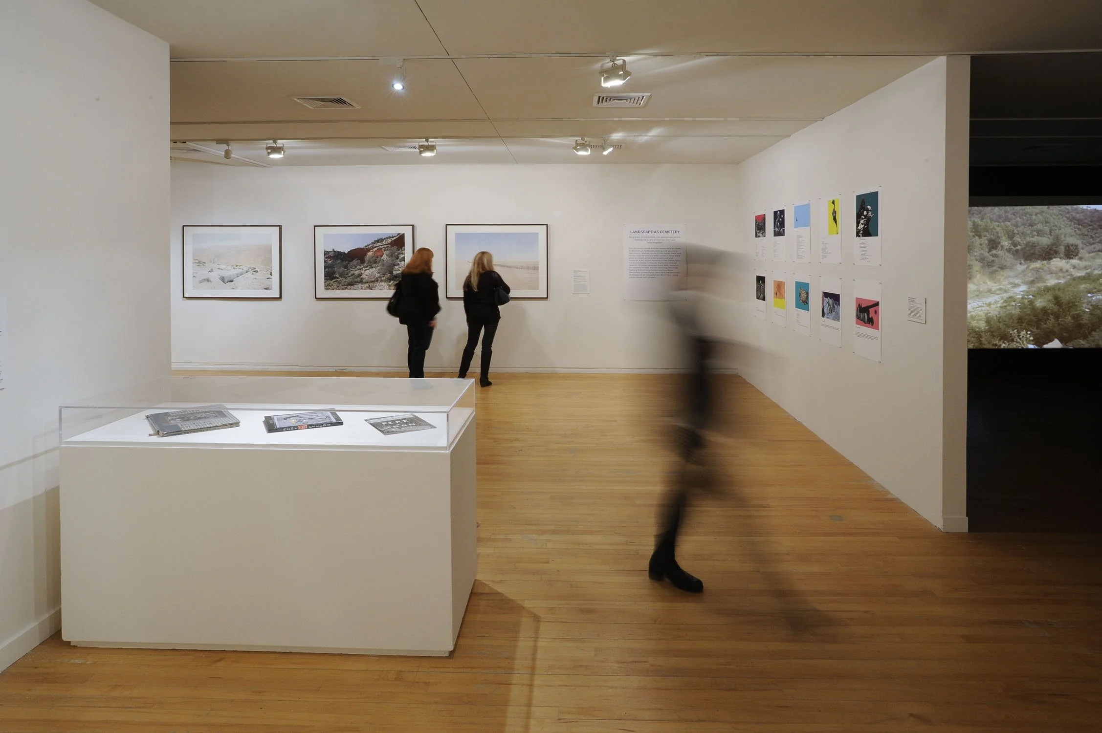 People viewing art in a modern art gallery with framed photographs on white walls and informational text panels. A sculpture of a black animal, possibly a cat, with a blurred tail and an out-of-focus sculpture or installation in the foreground.