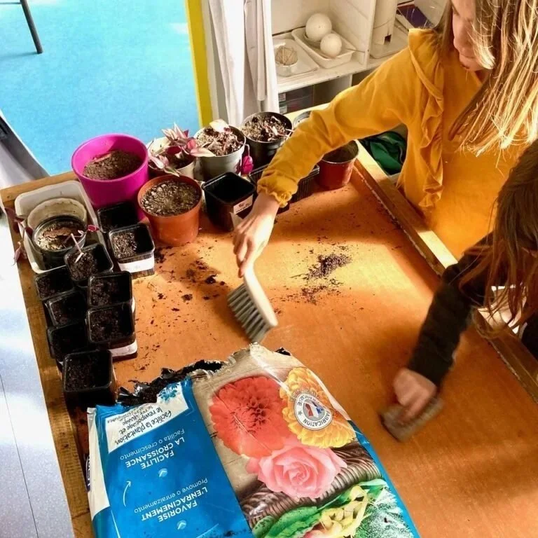 Semis de printemps