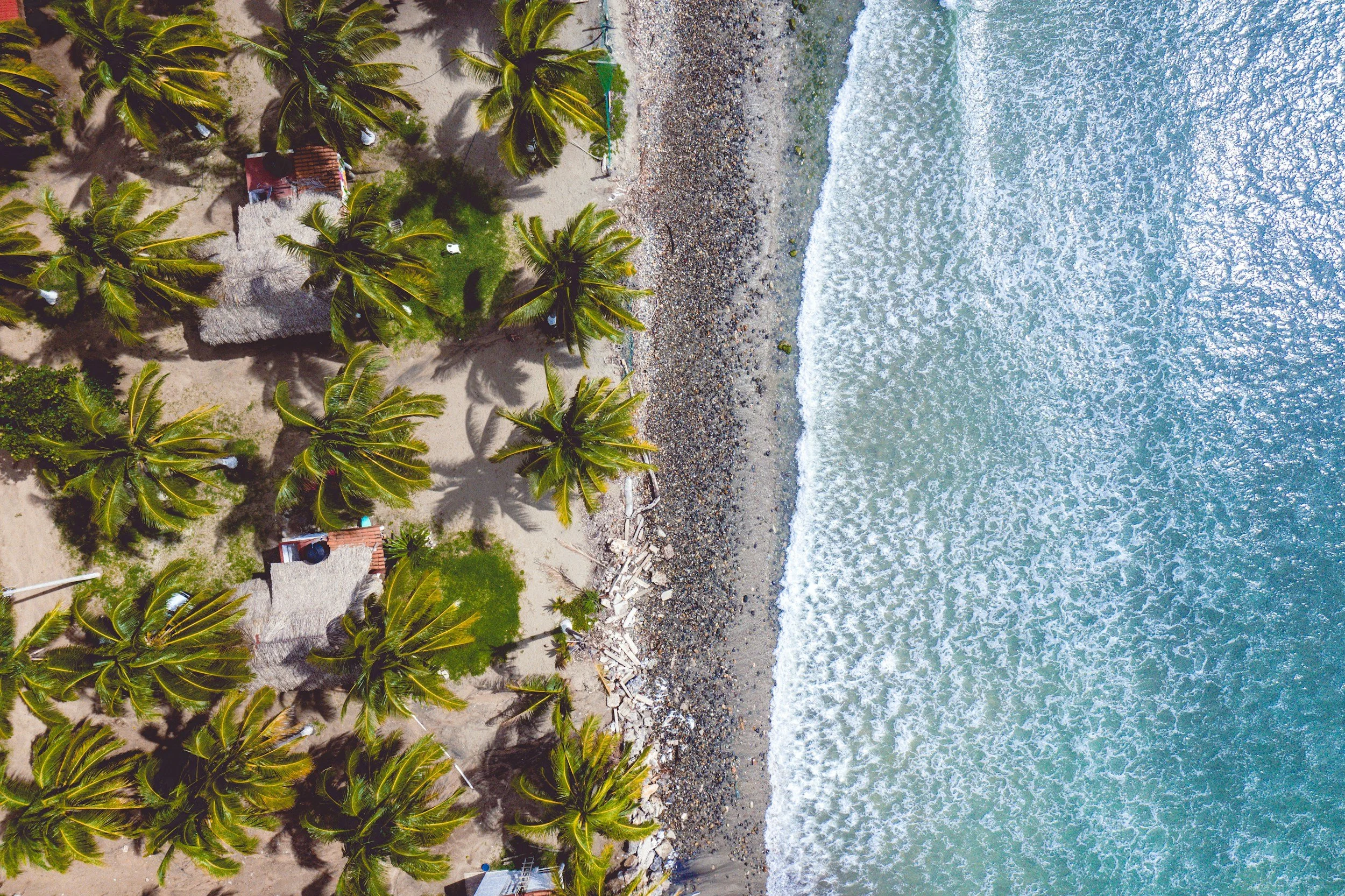 Aerial view of palm trees lining the beach and surf at La Saladita, Guerrero, Mexico