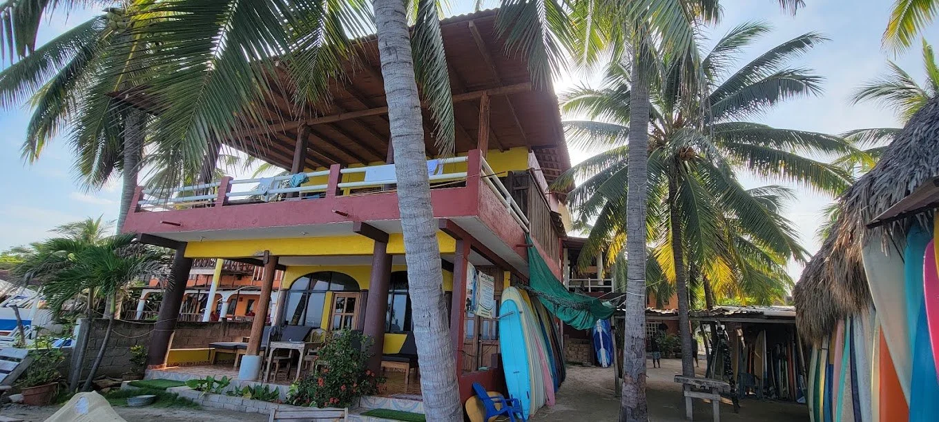 Surfboards lined up beside the house under tall palm trees