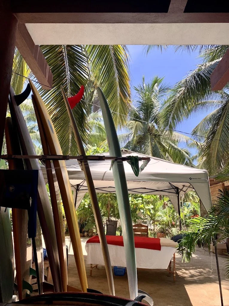 Surfboards leaning against a palm tree beside a shaded garden patio