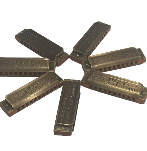 View 5.png