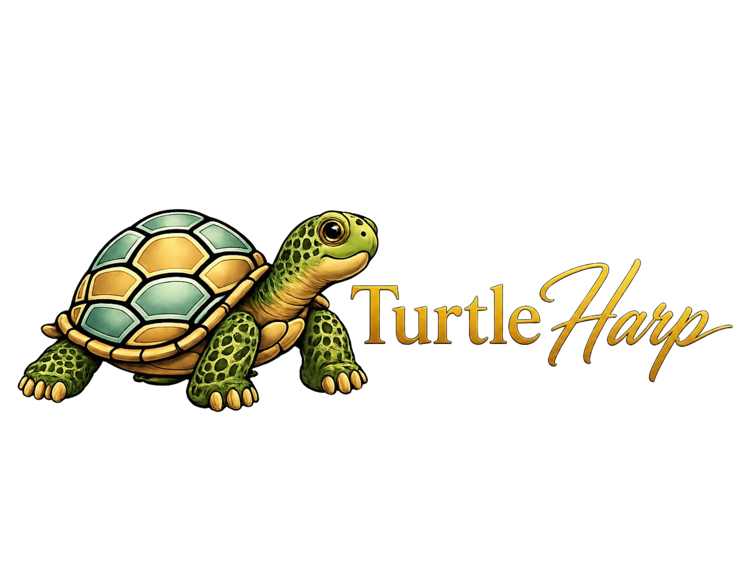 Turtle Harp