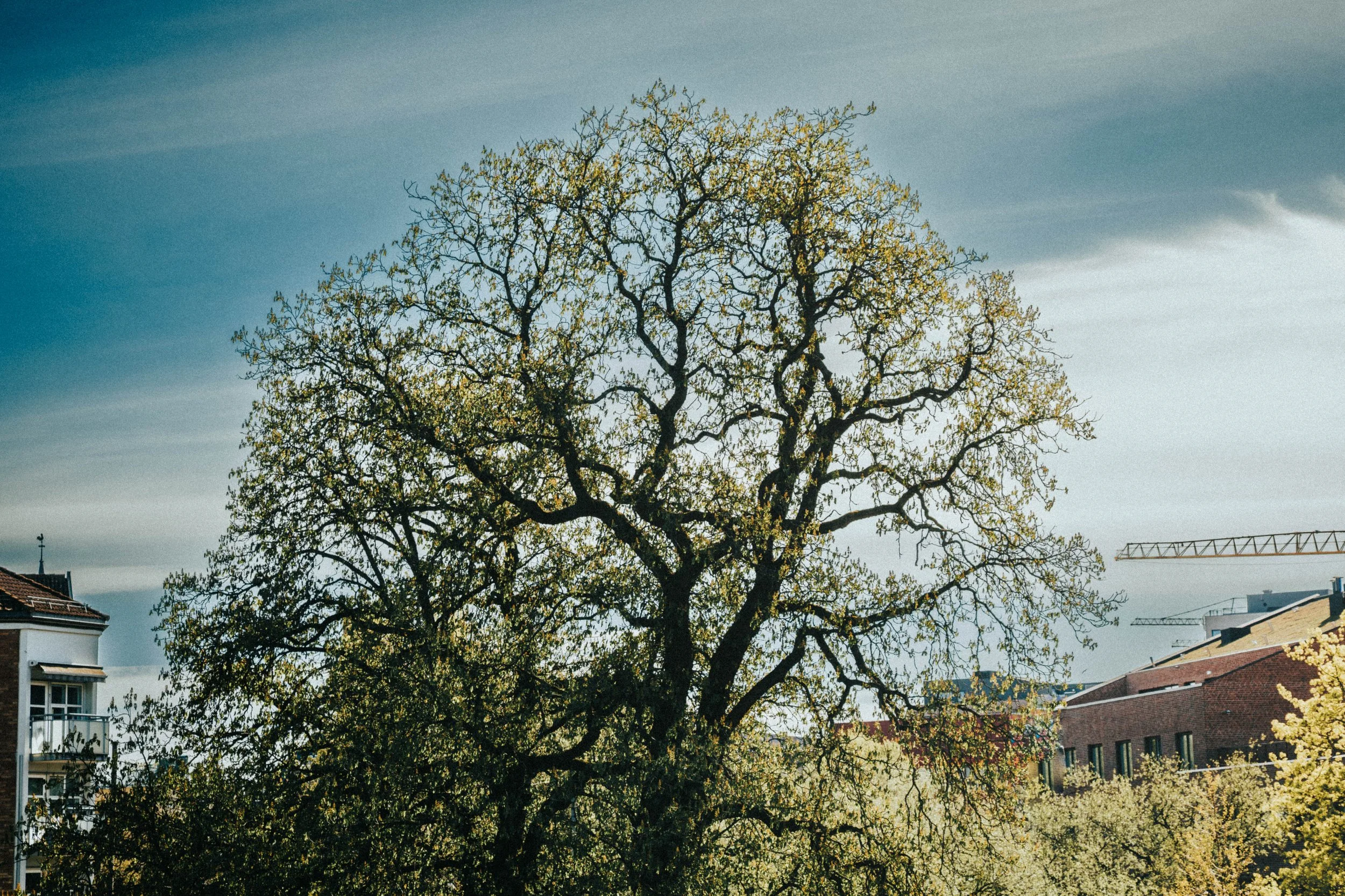 27 04 (13 of 17).jpg