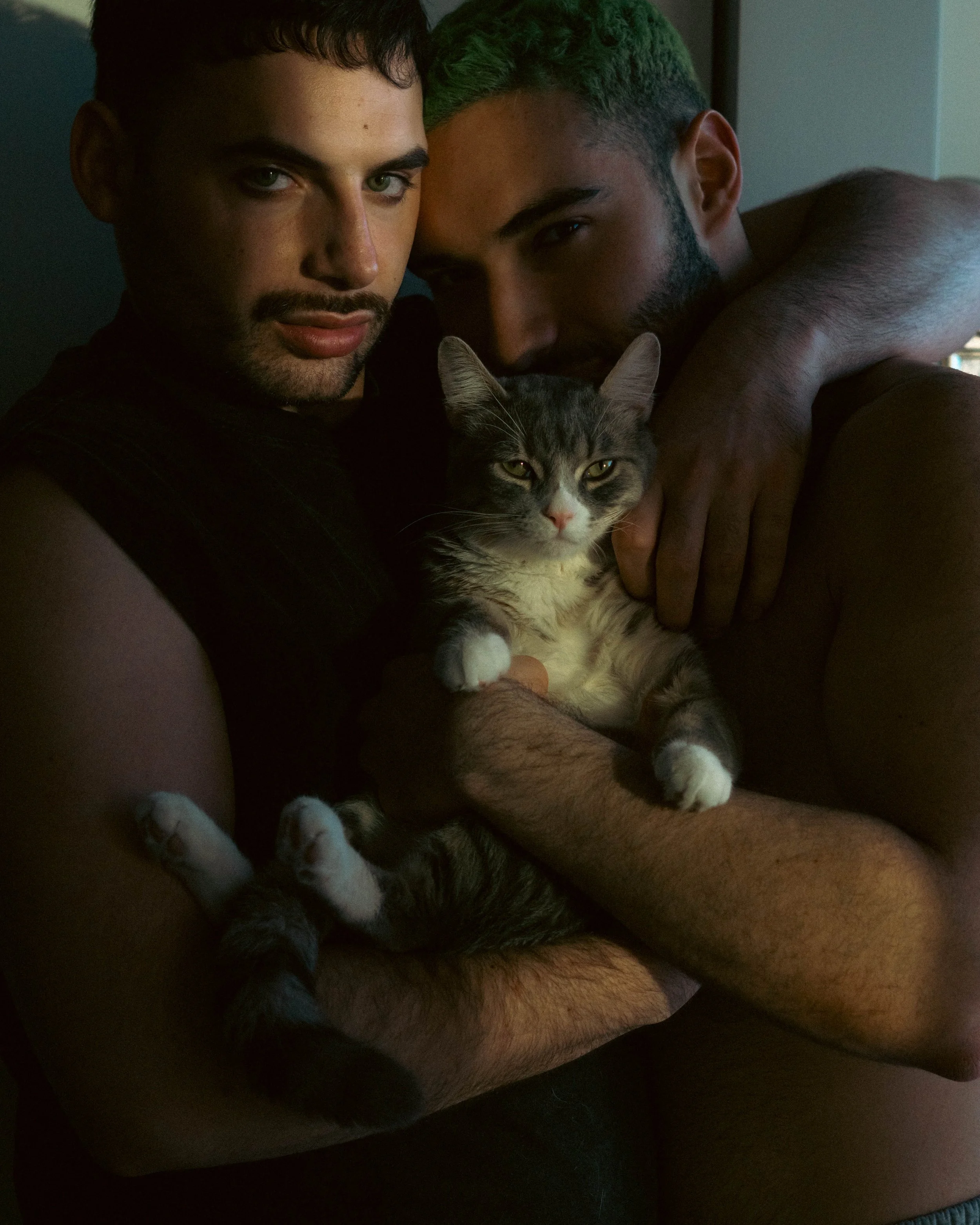 Deux hommes jeunes se tiennent proches, l'un d'eux porte un t-shirt noir, l'autre un haut marron. Ils sont assis, en arrière-plan une lumière tamisée, ils tiennent un chat gris rayé blanc entre eux, tous regardent l'objectif.