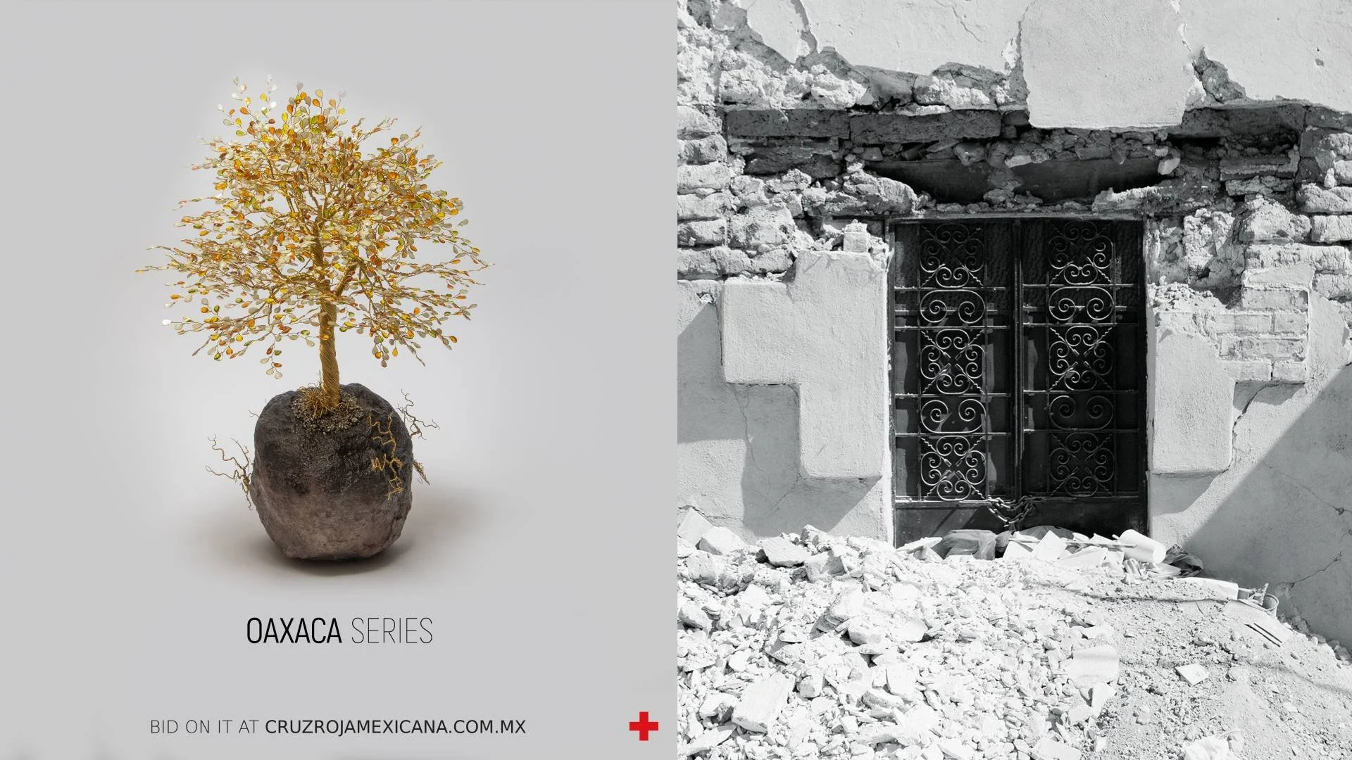 Comparación entre un árbol pequeño en una maceta y una puerta de entrada de una casa en ruinas, en blanco y negro.