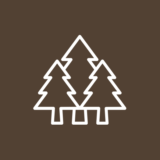Outline of three pine trees with a brown background.