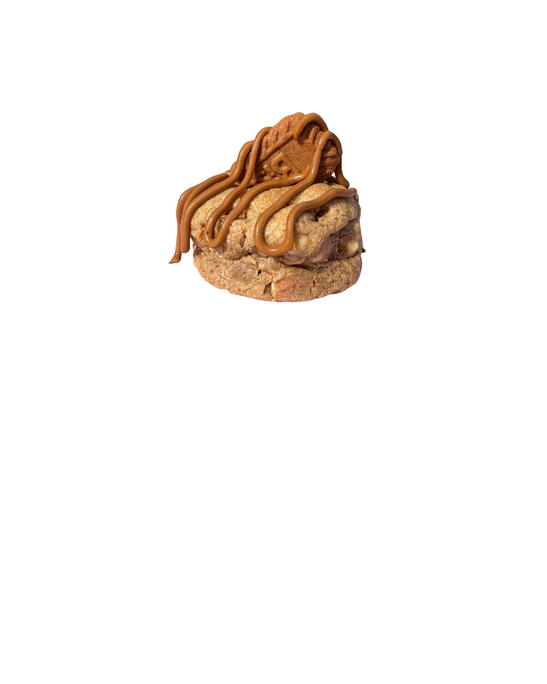 BISCOFF BLISS
