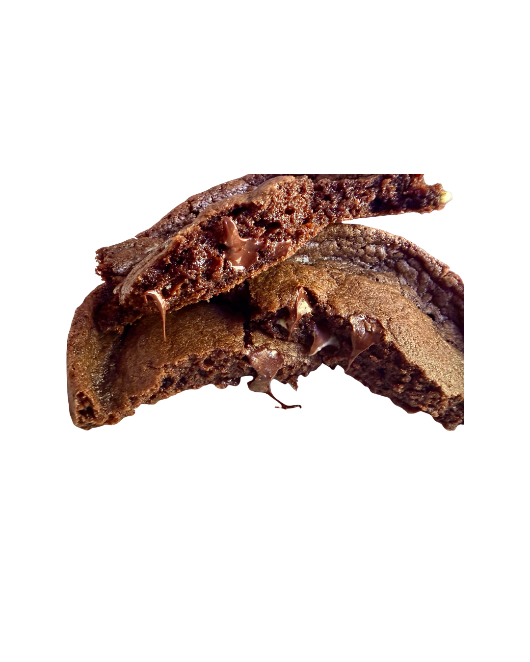 Untitled design (12).png