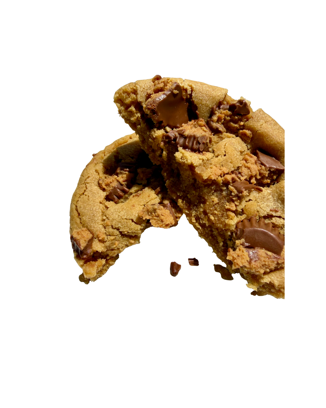Untitled design (7).png