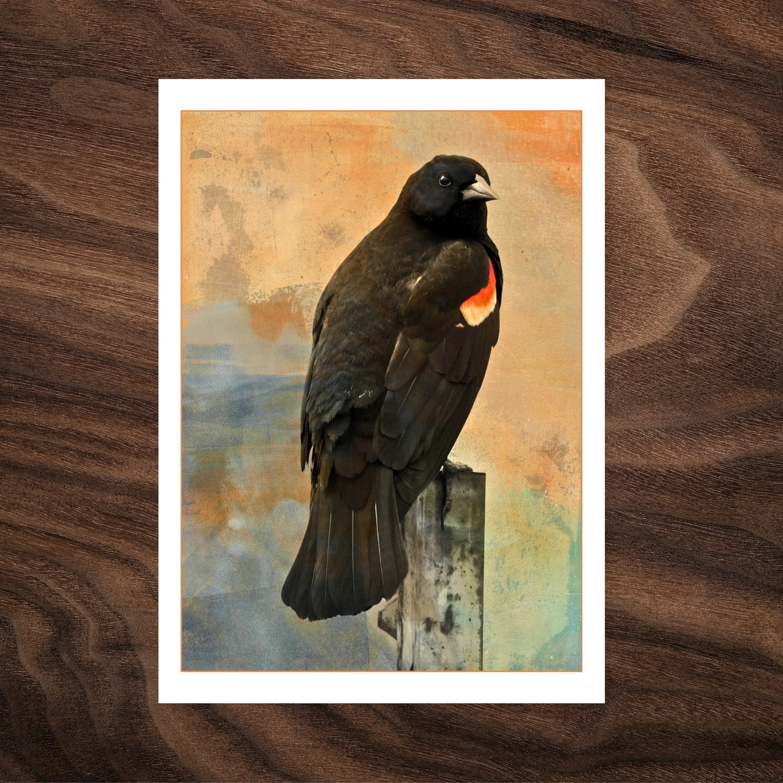 A Flash of Red — Red-winged Blackbird Greeting Card