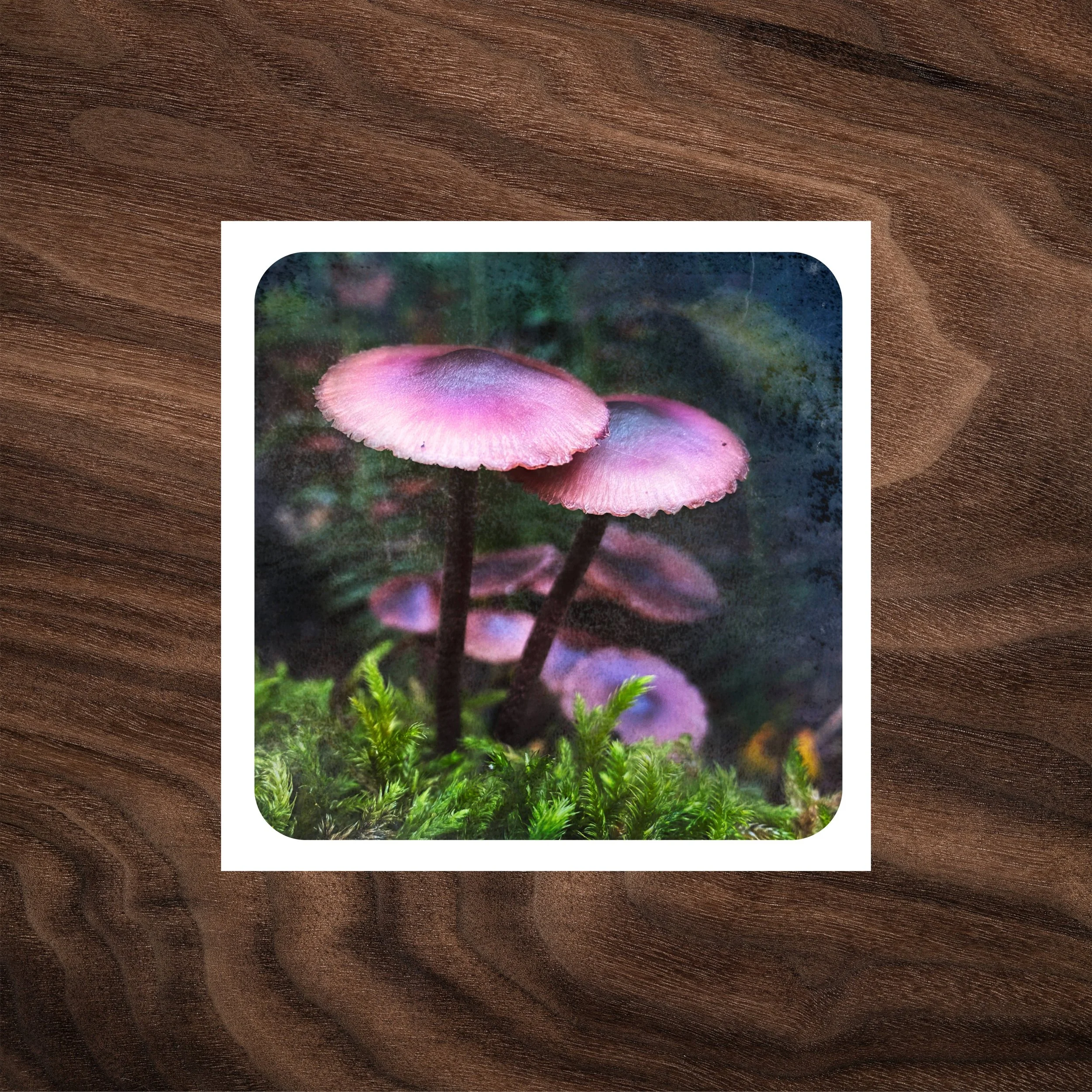 A Little Woodland Magic — Greeting Card