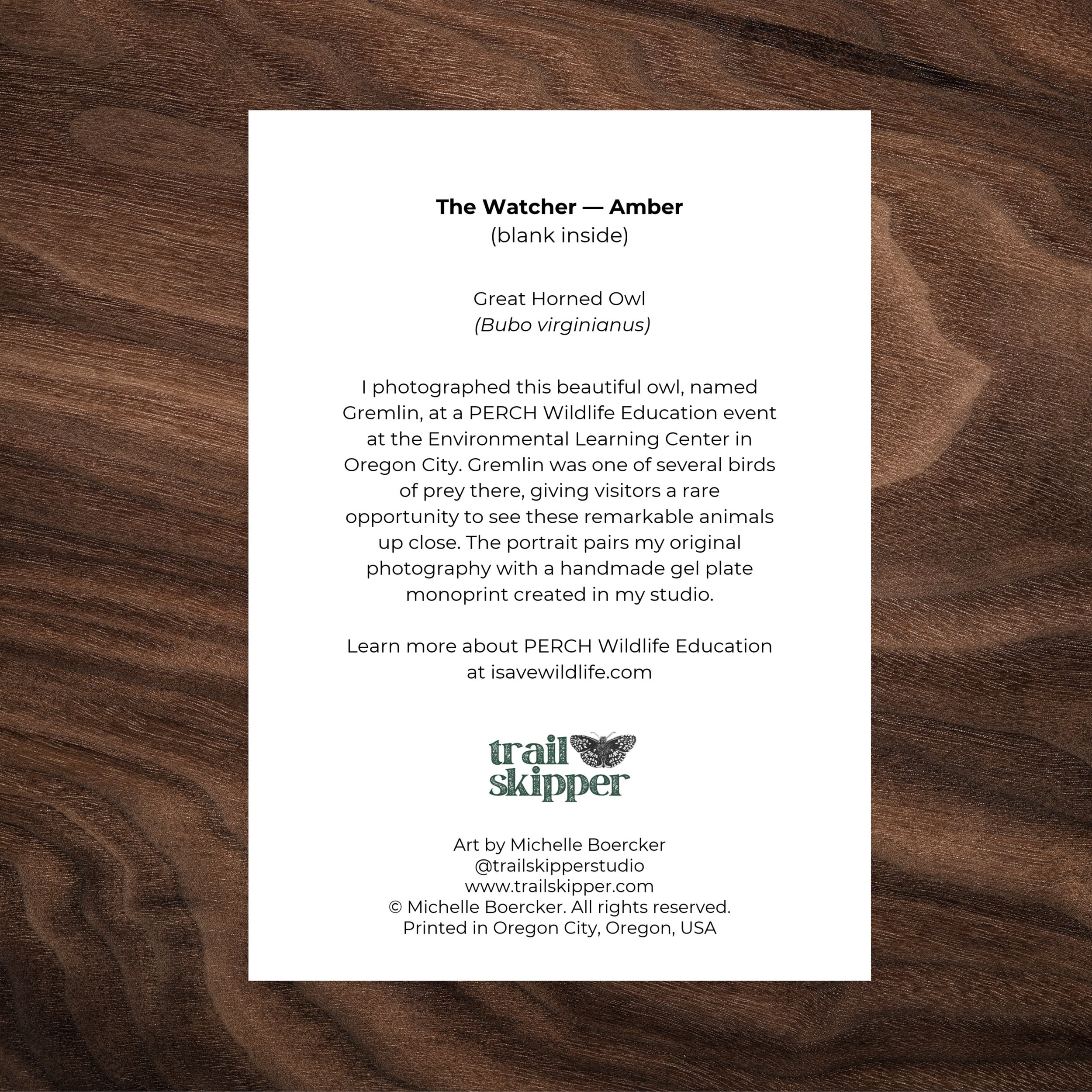The Watcher — Amber - Great Horned Owl - Card Photos copy.jpg