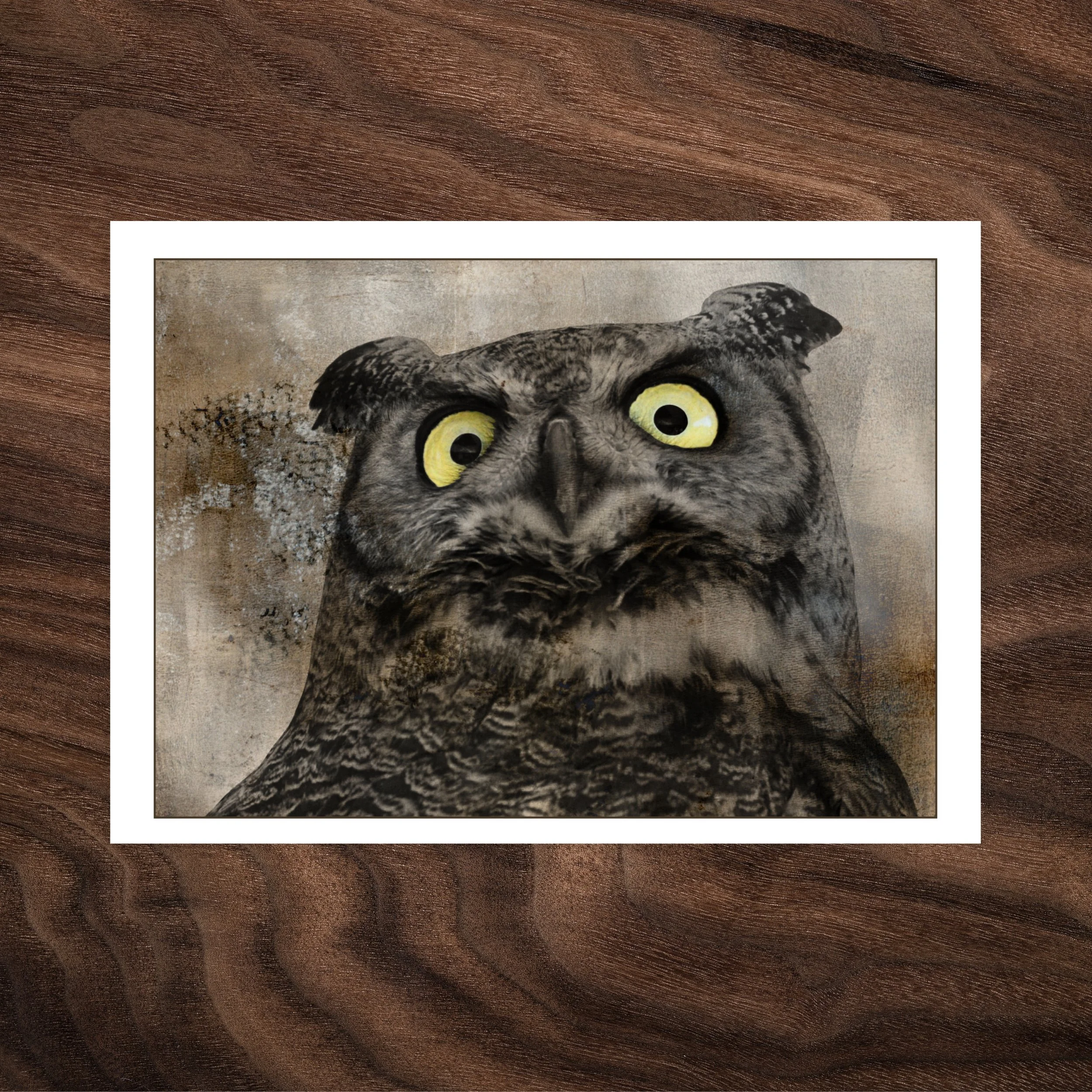 The Stare — Greeting Card
