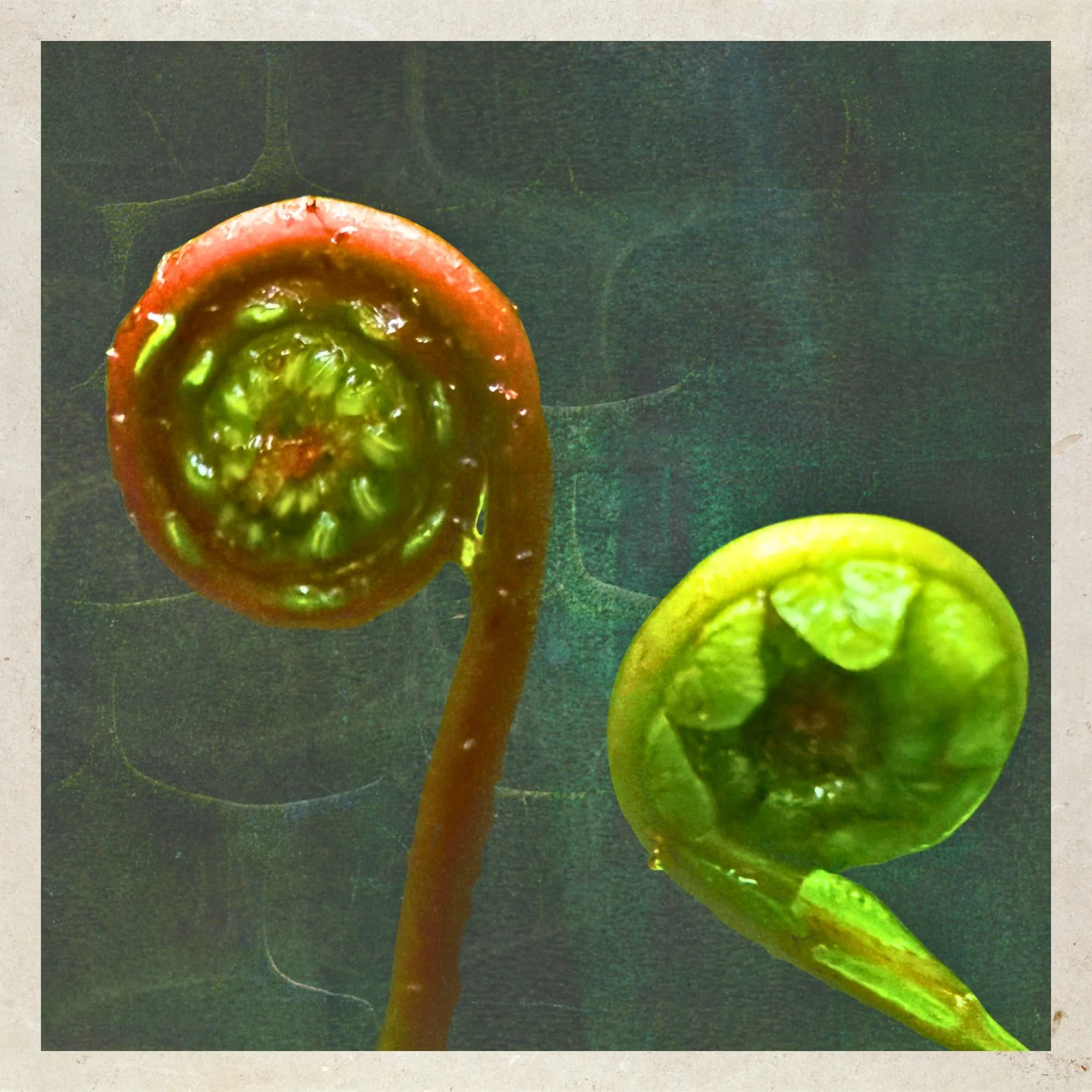 Unfurling