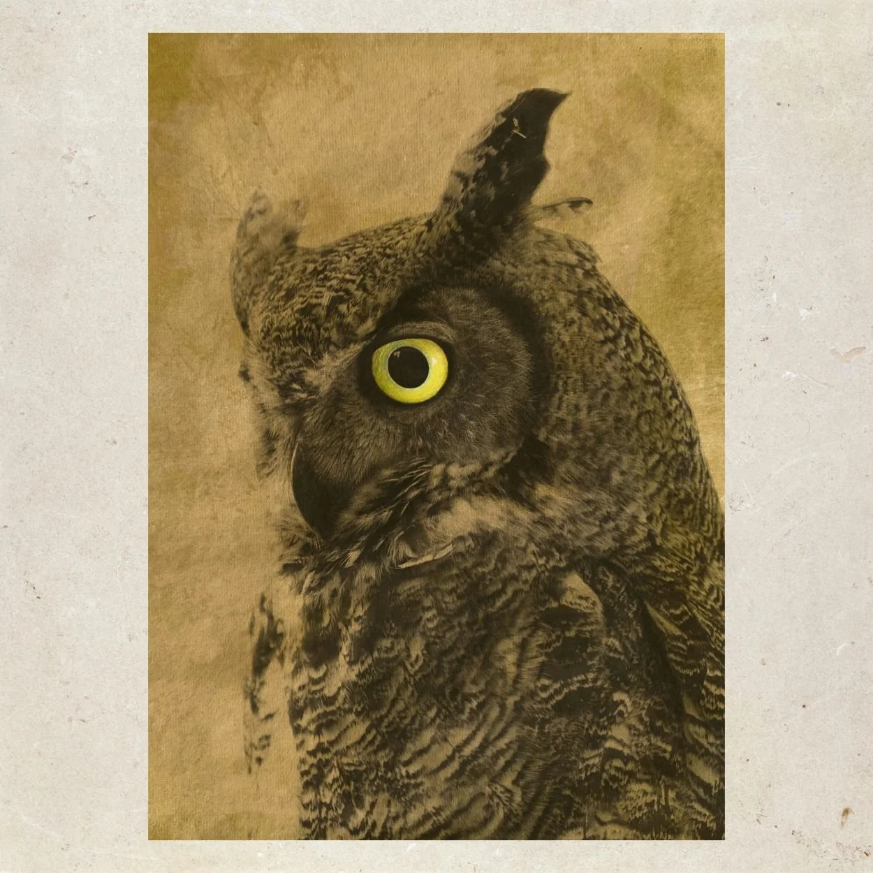 The Watcher — Amber