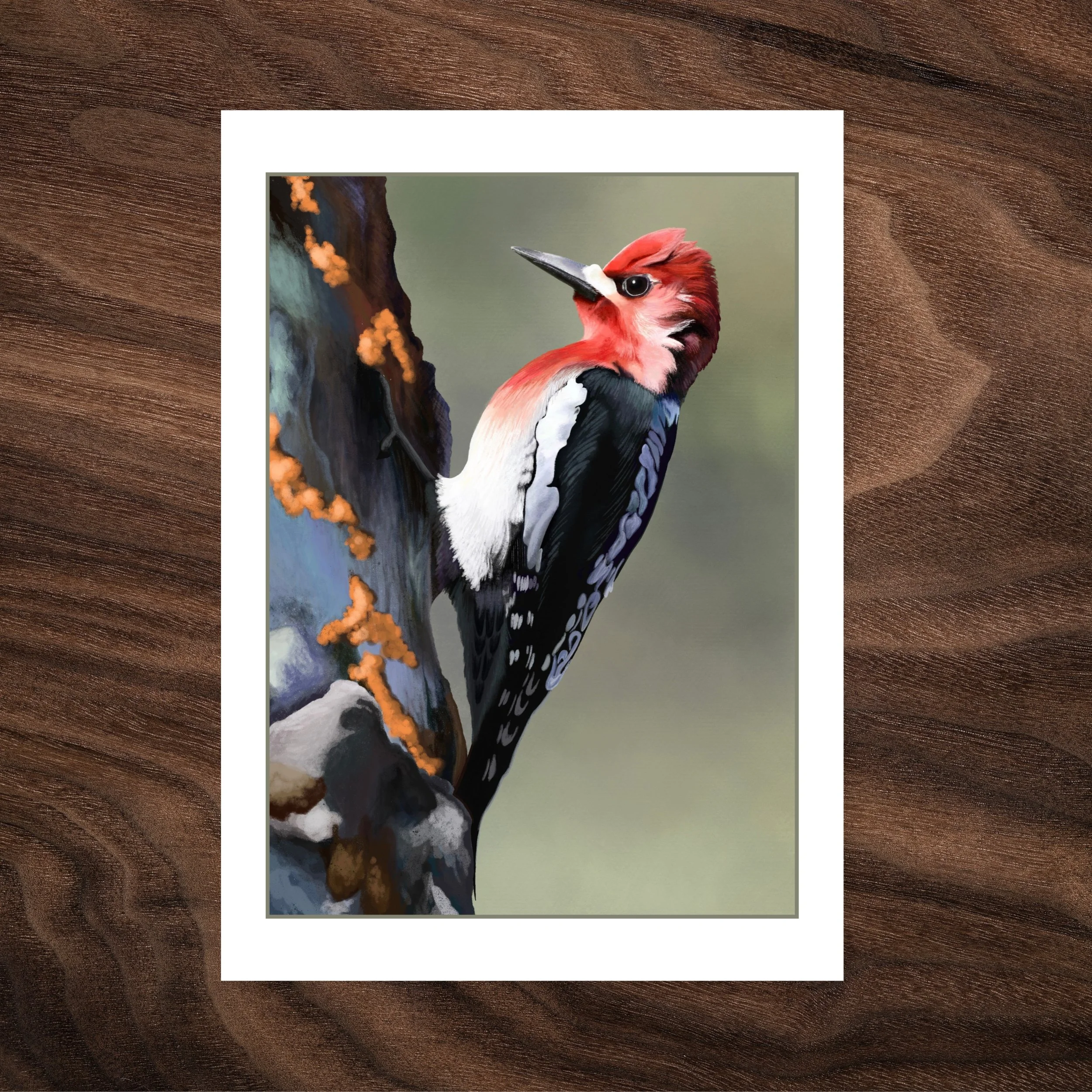 Caught in the Light - Red-breasted Sapsucker - Card Photos.jpg