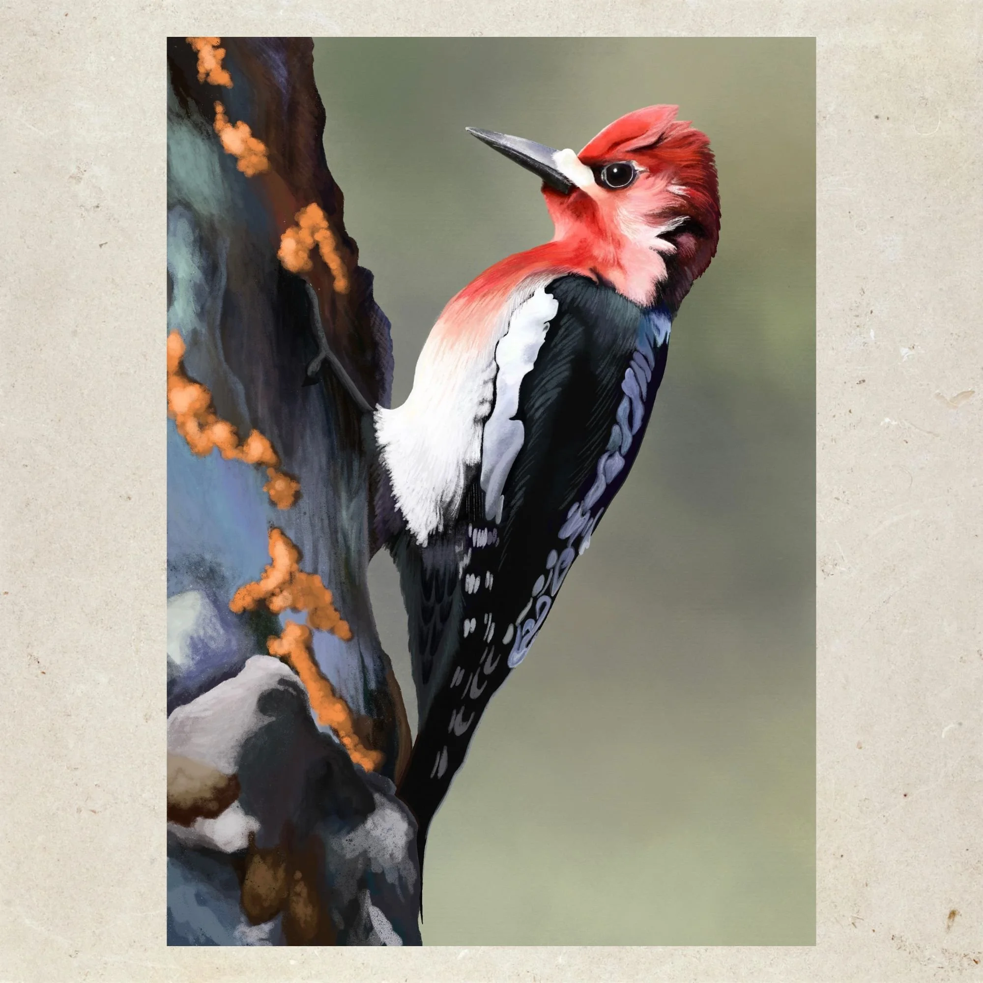Caught in the Light — Product Image.jpg