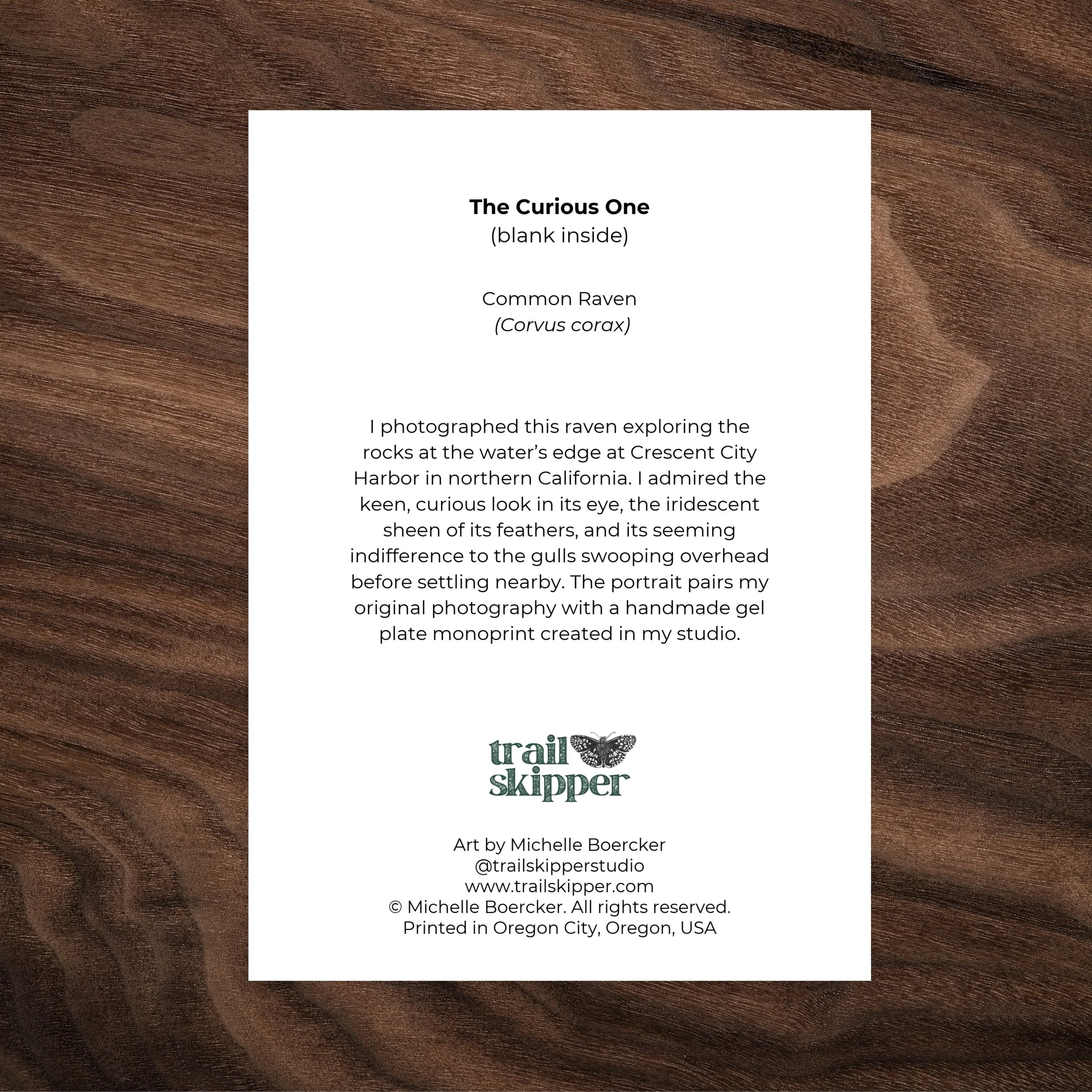 The Curious One - Raven - Card Photos copy.jpg