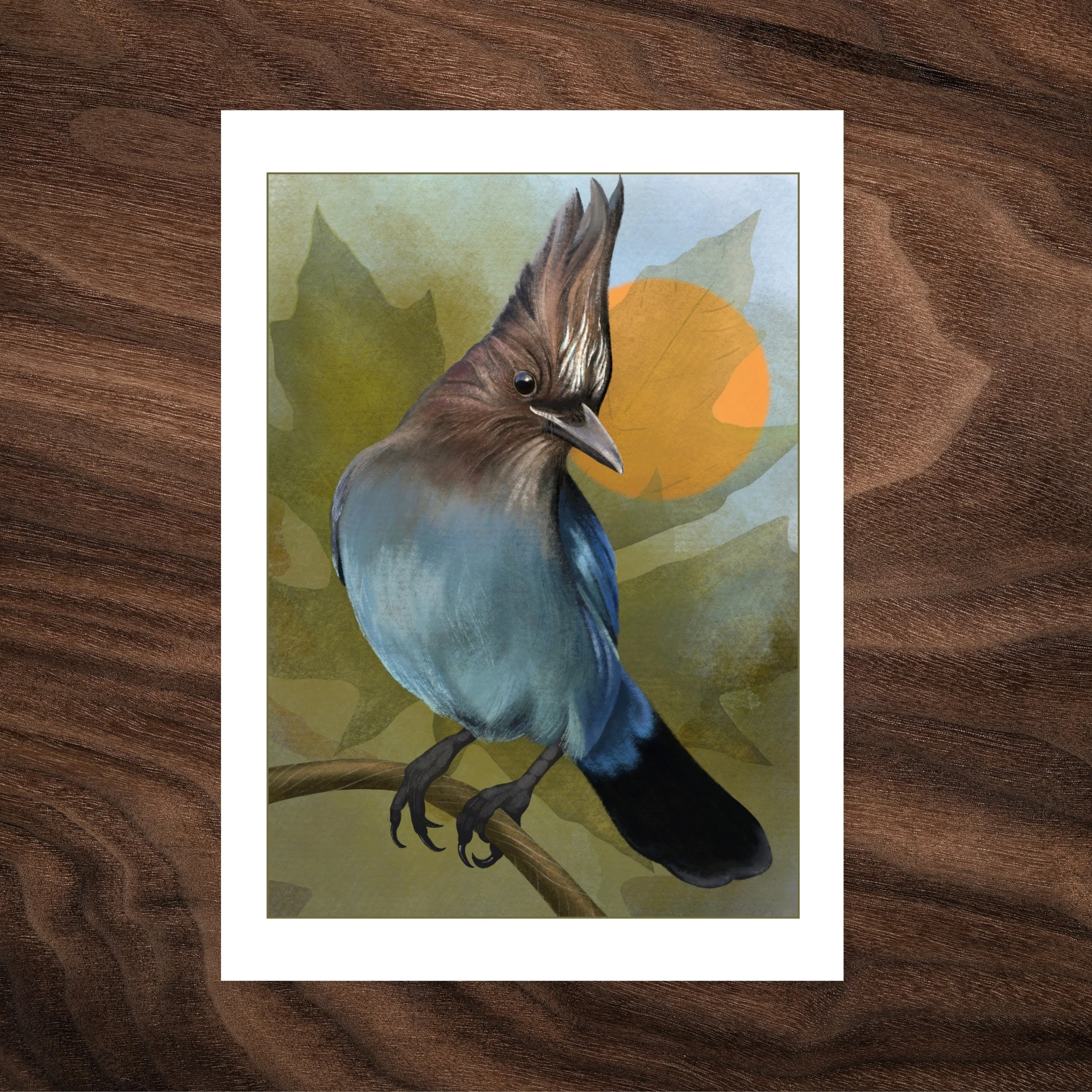 The Peanut Connoisseur — Steller's Jay Greeting Card