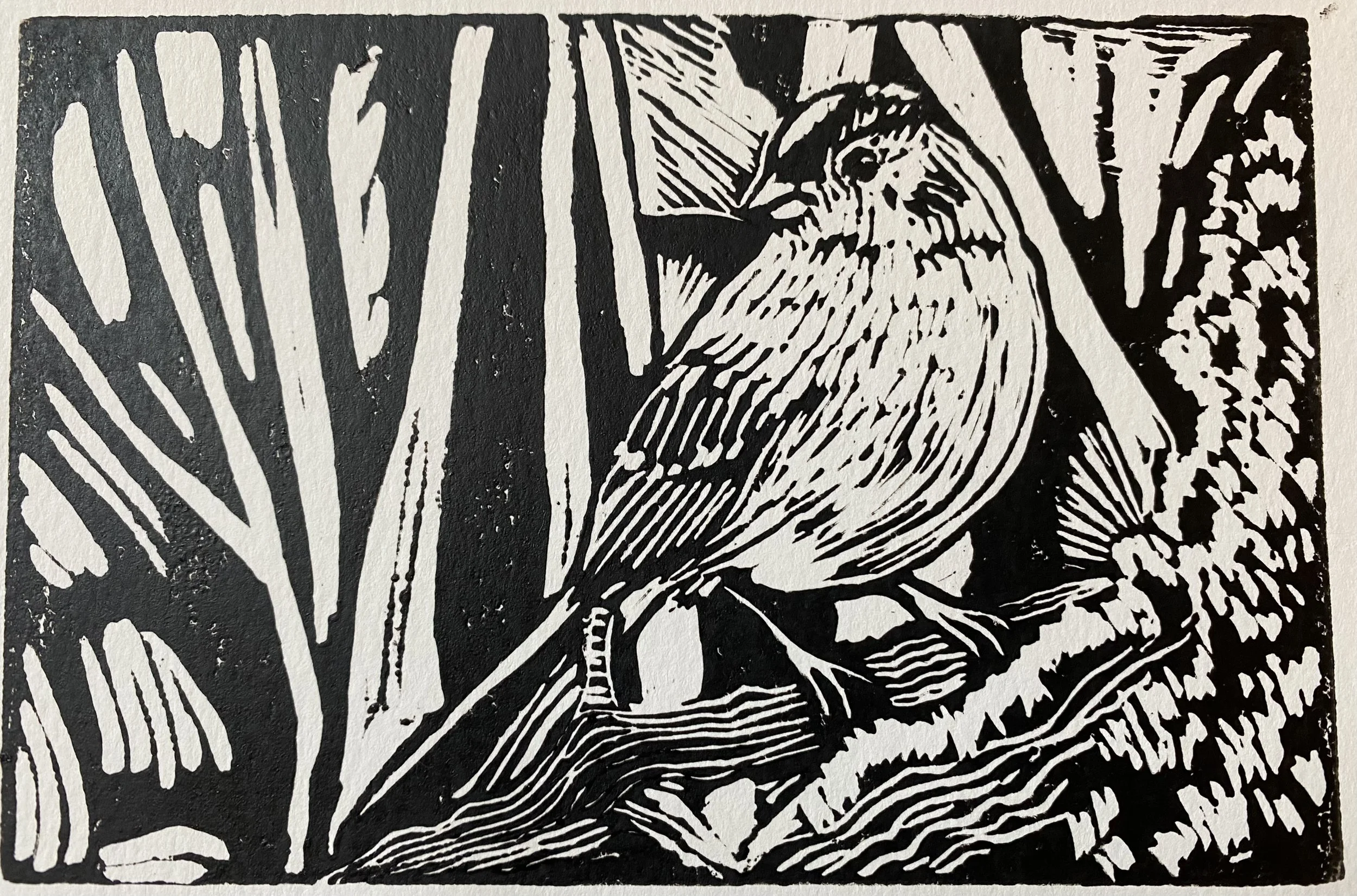 Black and white woodcut print depicting a bird perched on a tree branch with surrounding branches and leaves.
