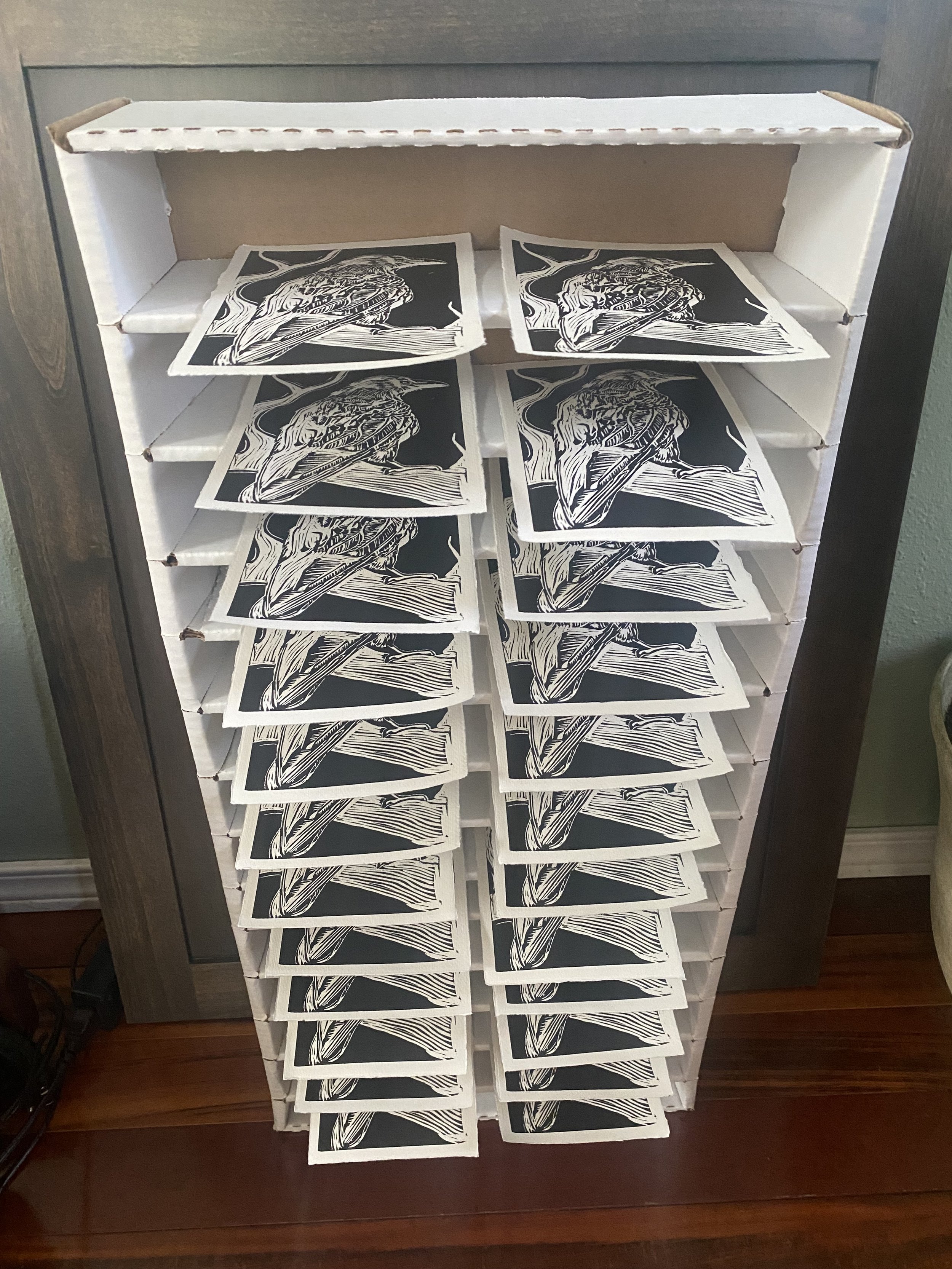 A white storage cabinet with multiple shelves, each holding black and white prints of a bird illustration.