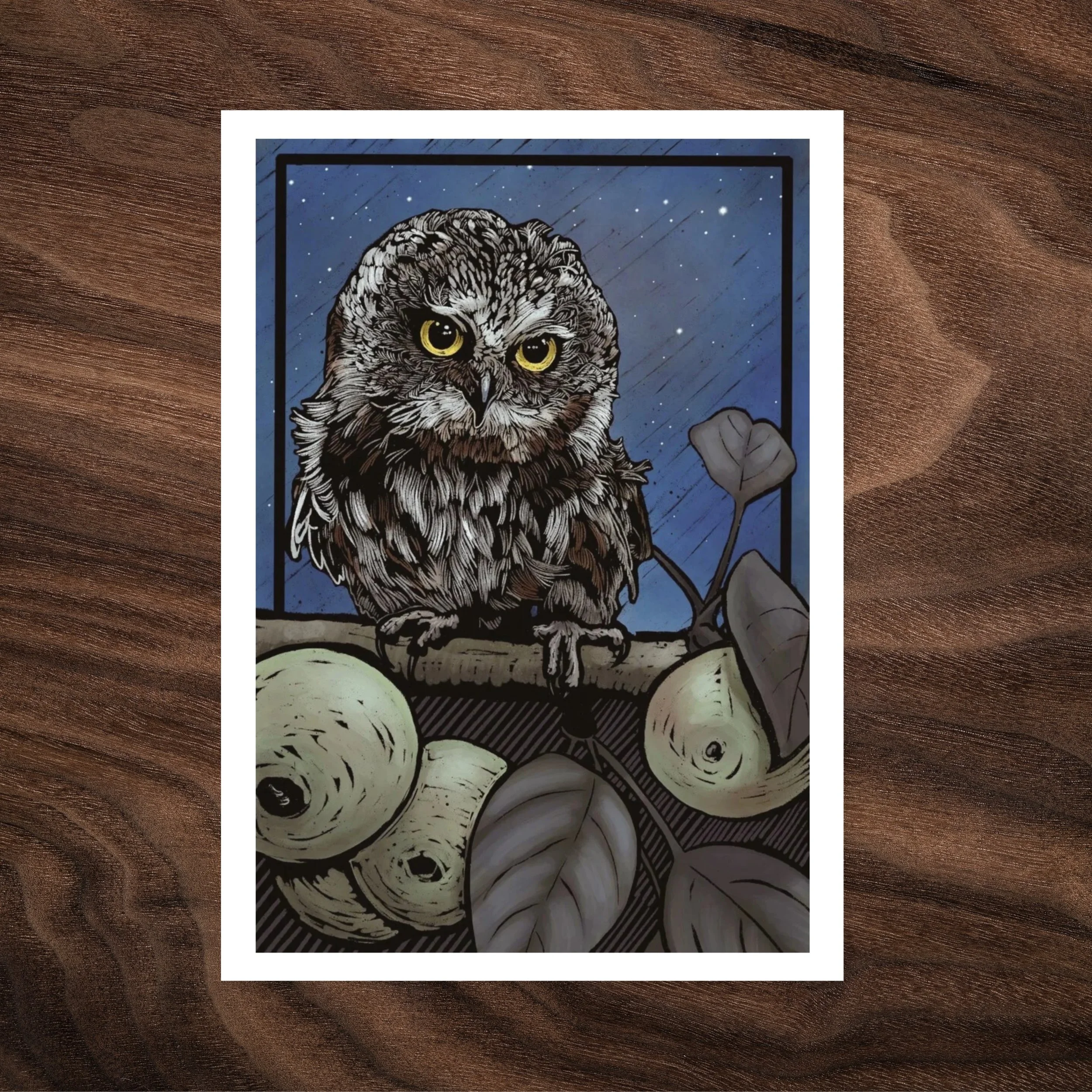 After Dark - Northern Saw-whet Owl - Card Photos.jpg
