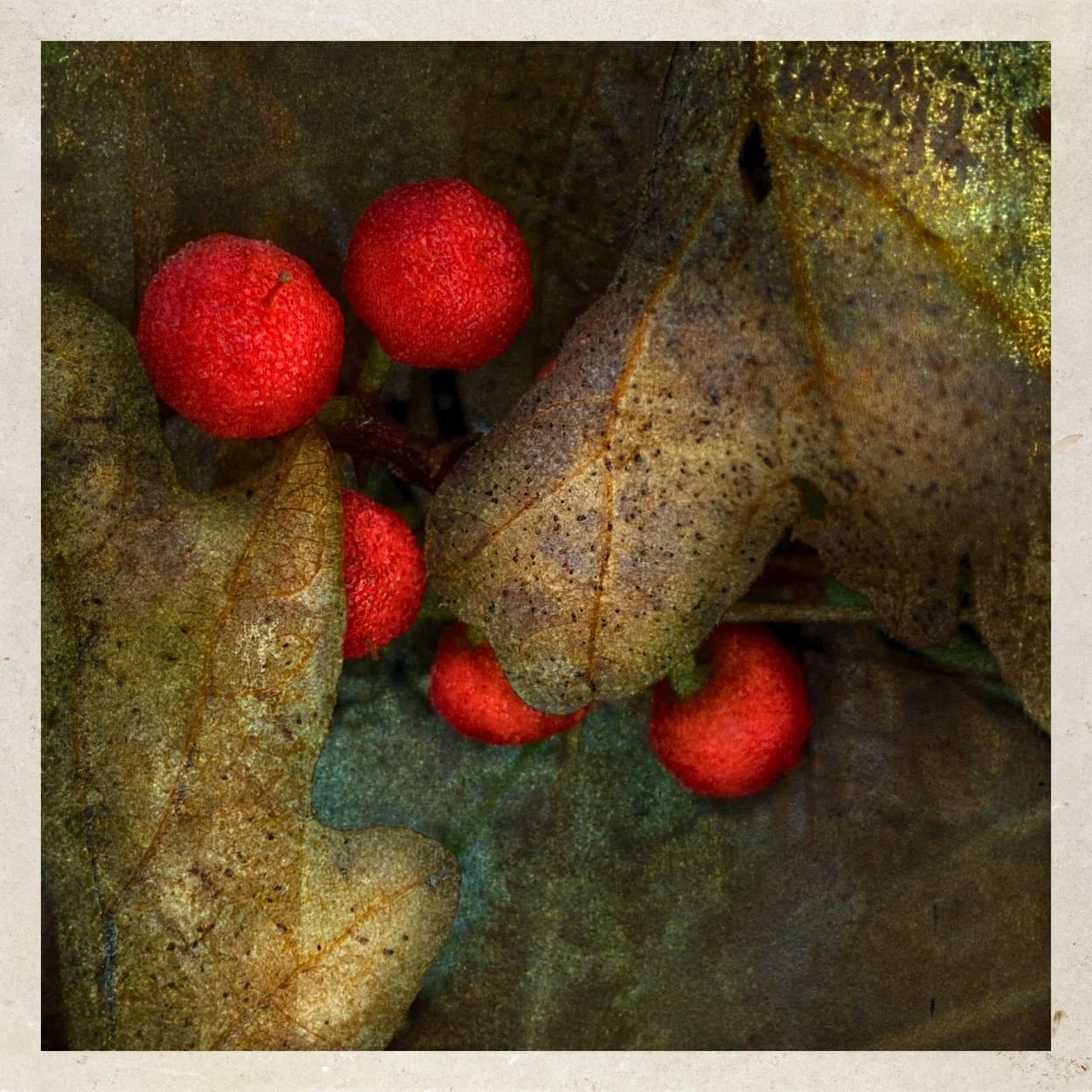 Scattered Jewels — Product Image (1).jpg
