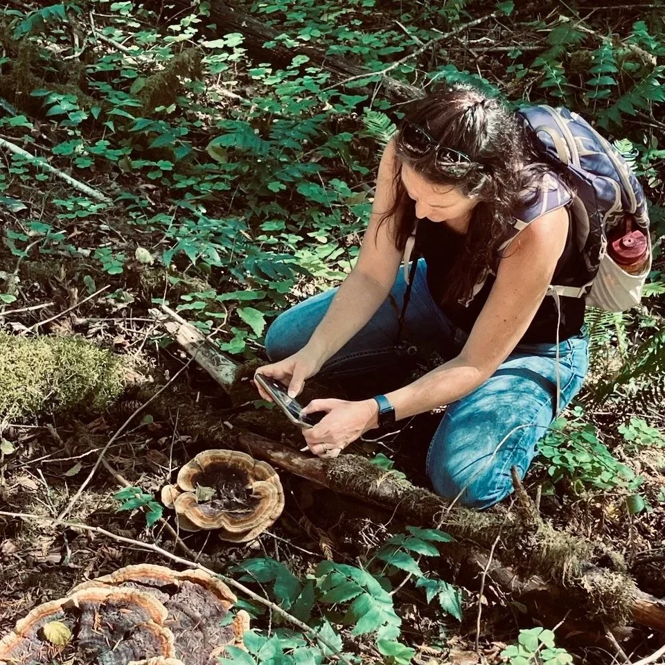 Michelle taking a photograph of a mushroom on the forest floor.