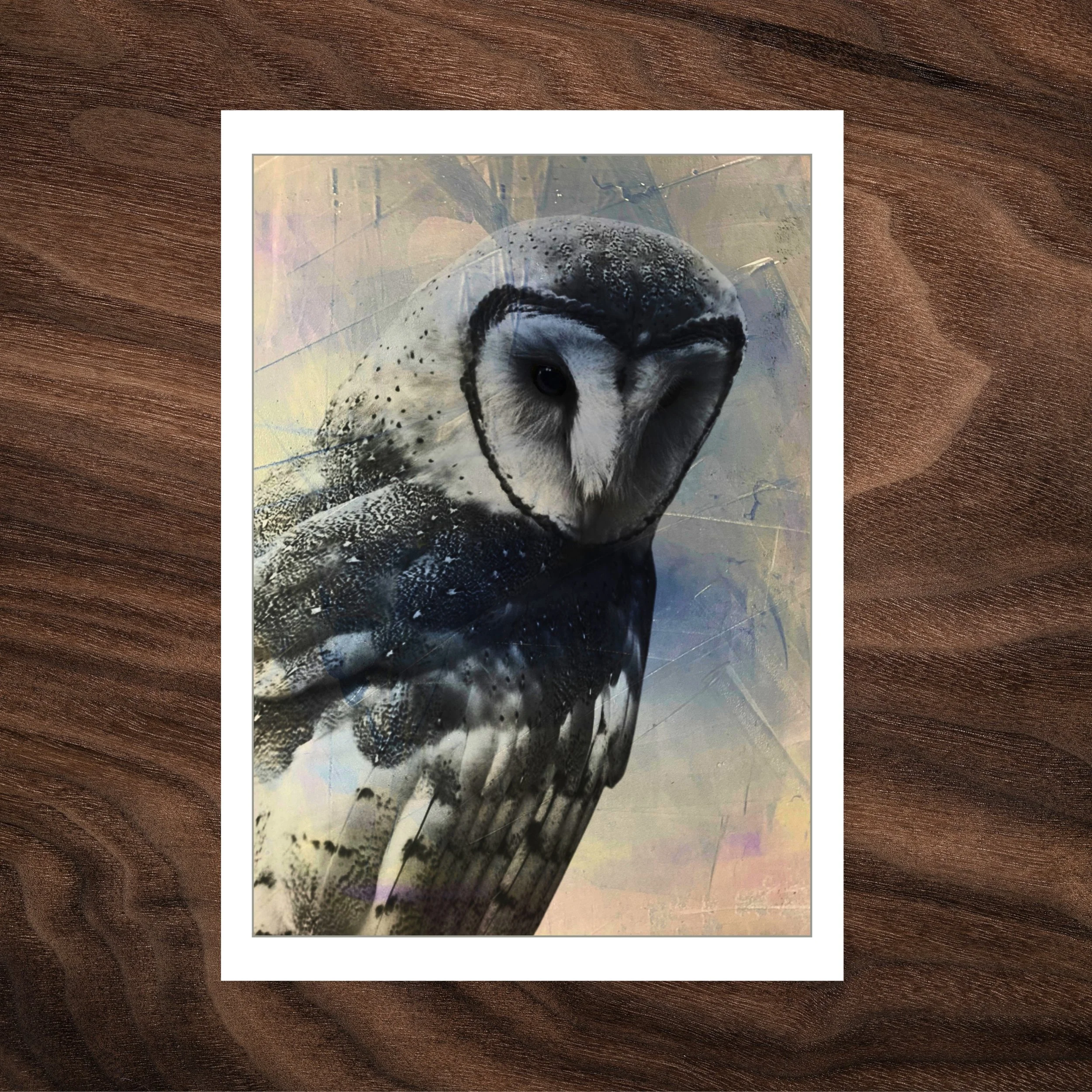 A Barn Owl Named Twig — Barn Owl Greeting Card