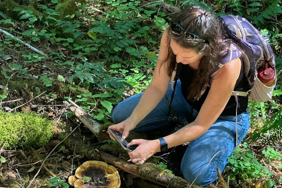 Woman in outdoor gear crouching in a forest, taking a photo with a smartphone.