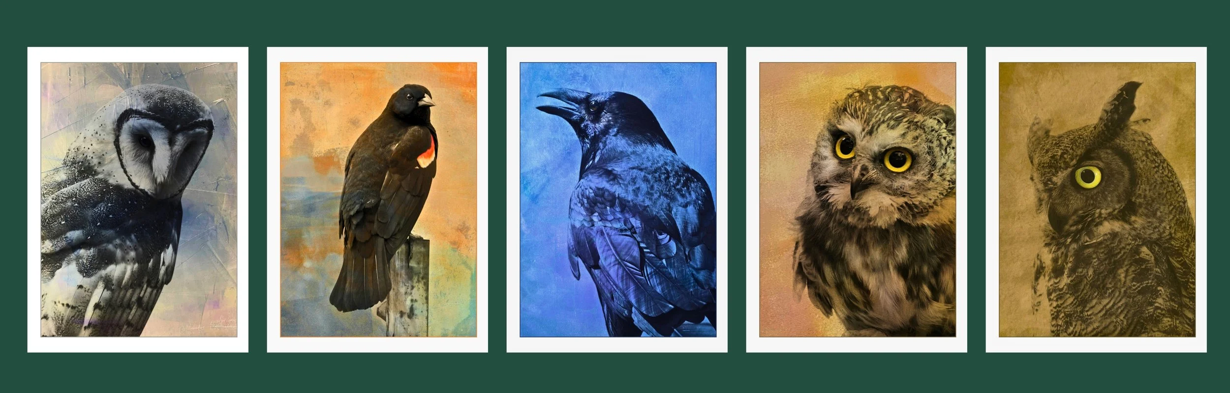 A collection of Michelle's wildlife art card designs.