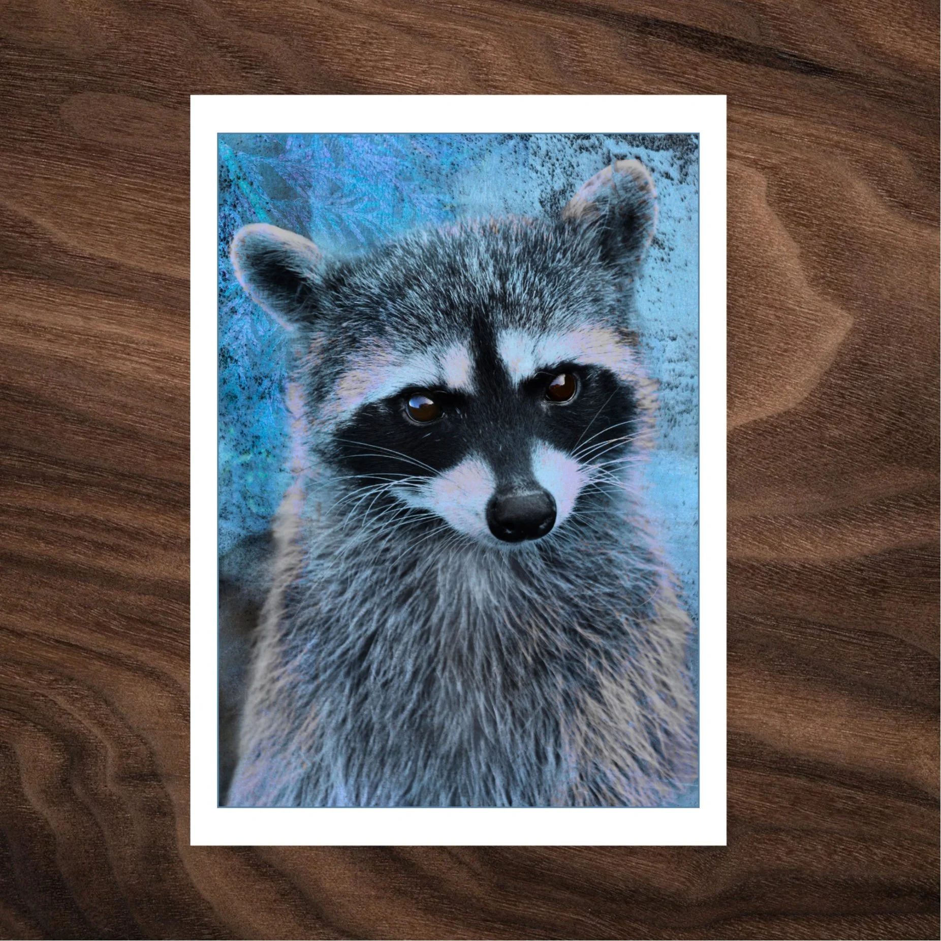 Face to Face — Raccoon - Card Photos copy 2.jpg