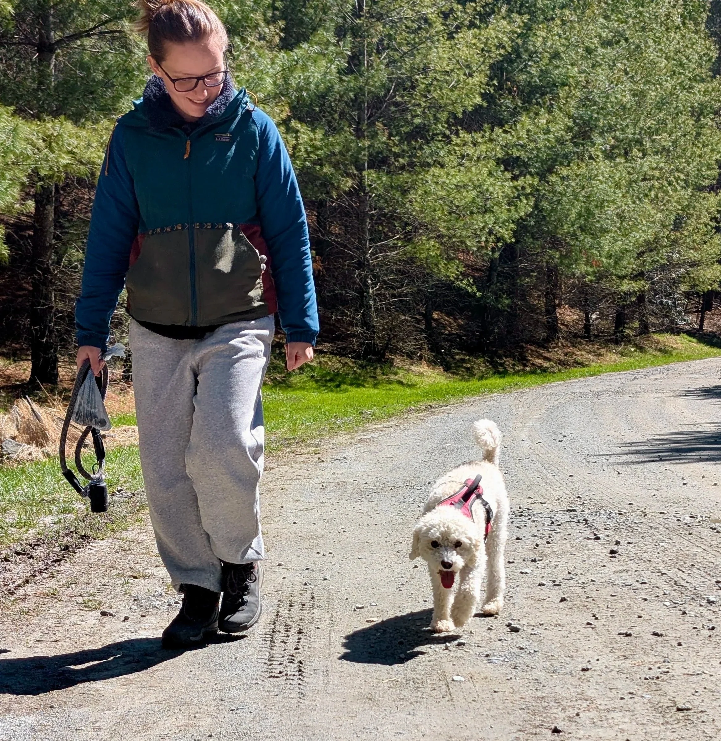 A person walking a white fluffy dog on a leash outdoors on a sunny day, surrounded by green trees and nature.