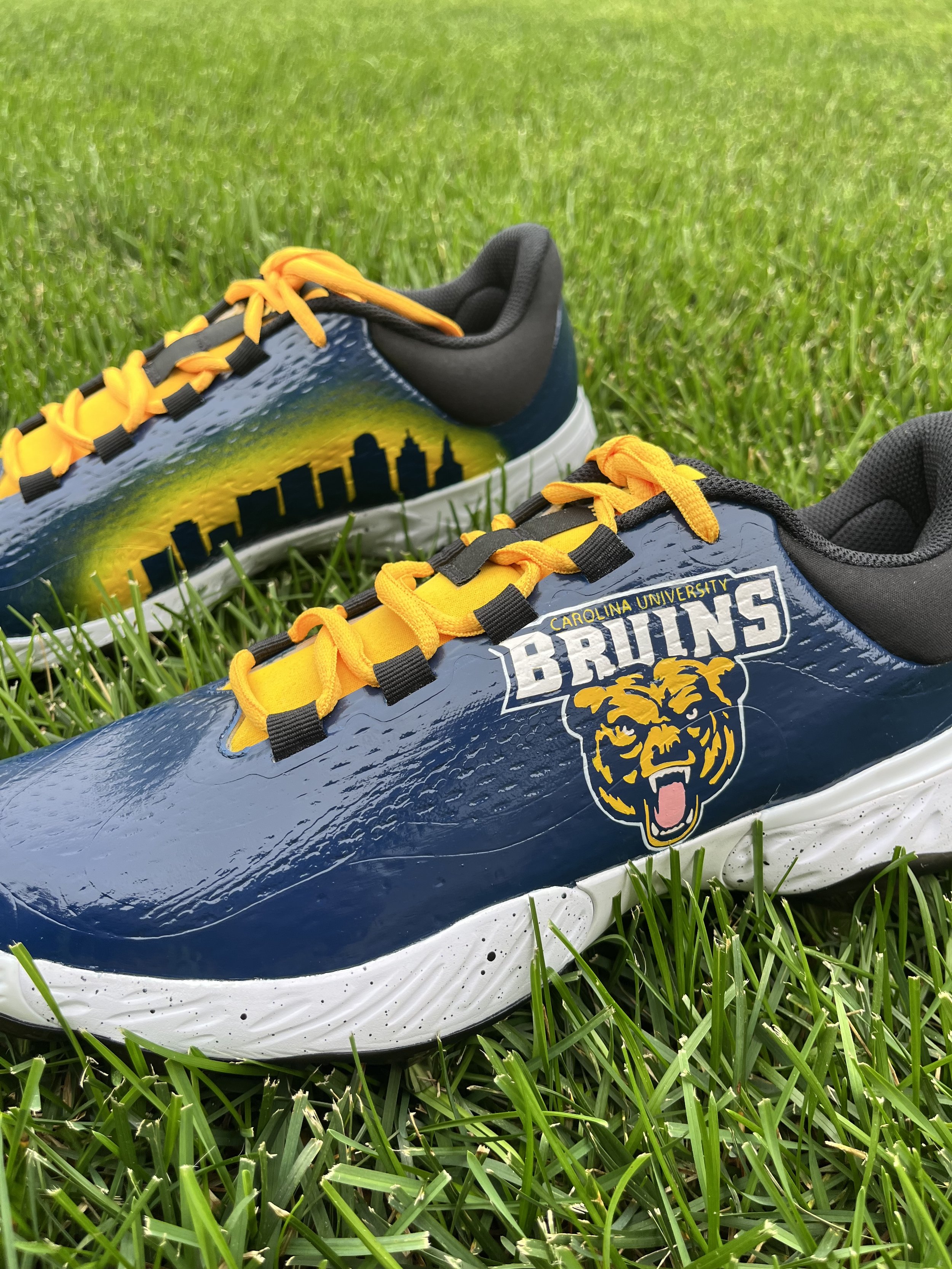 A pair of Nike sneakers on green grass featuring the University of North Carolina Tar Heels logo and mascot.
