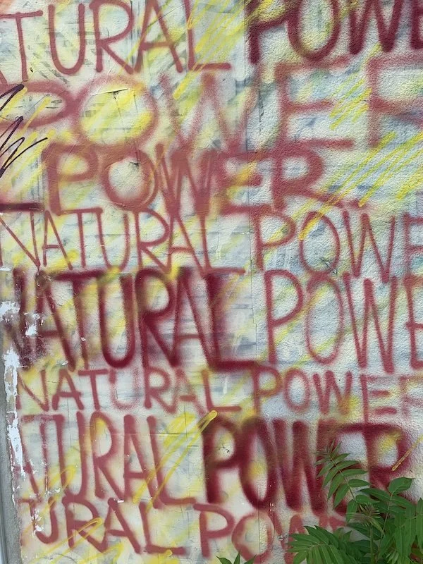 Red spray-painted words 'NATURAL POWER' overlapping on a wall with some yellow streaks and a green leafy plant at the bottom right corner.