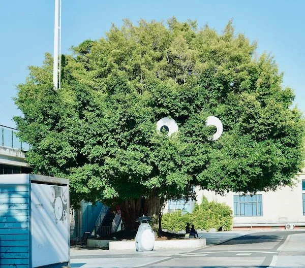 A large tree with cartoonish eyes painted on its foliage, giving it a face, in an urban setting with a blue sky.