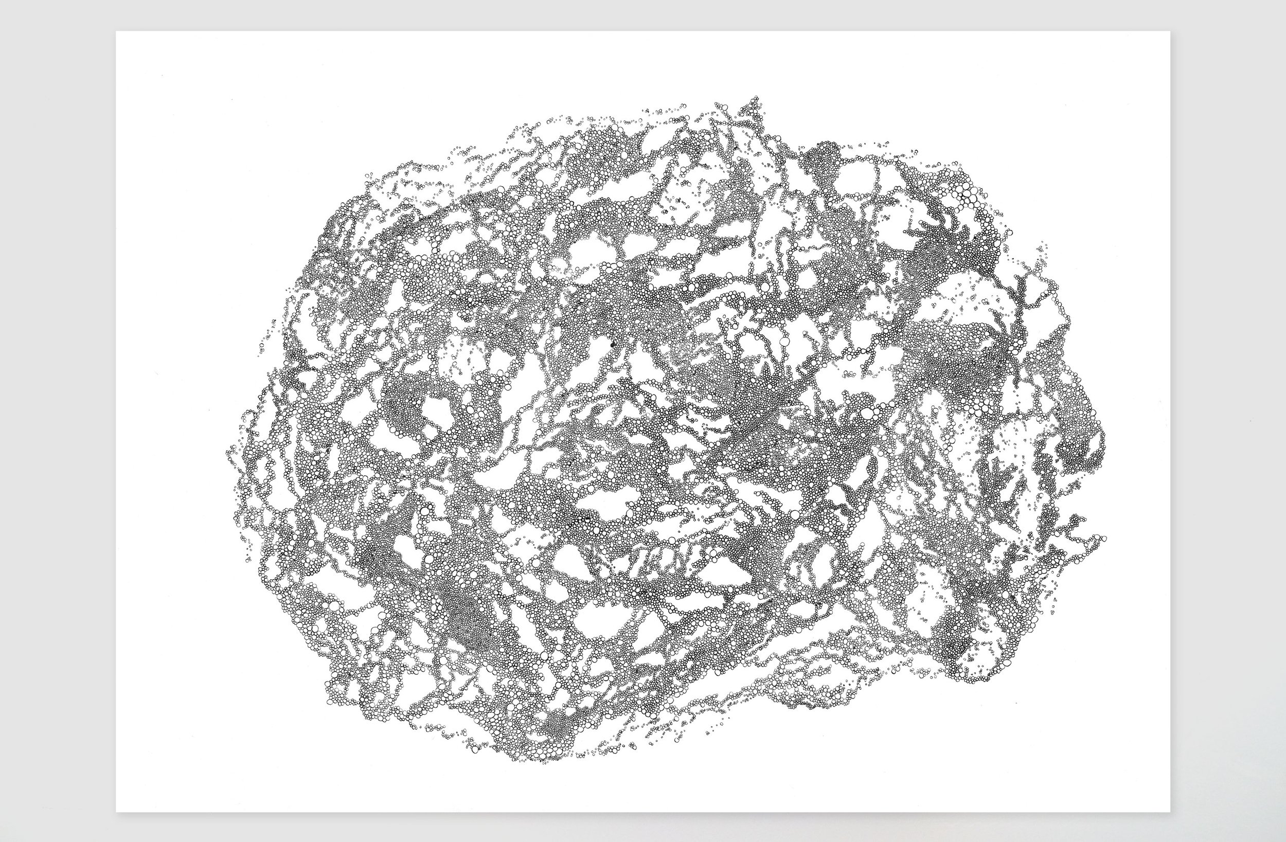   Tension (2021) SOLD  
Ink on paper | 24" x 18" 