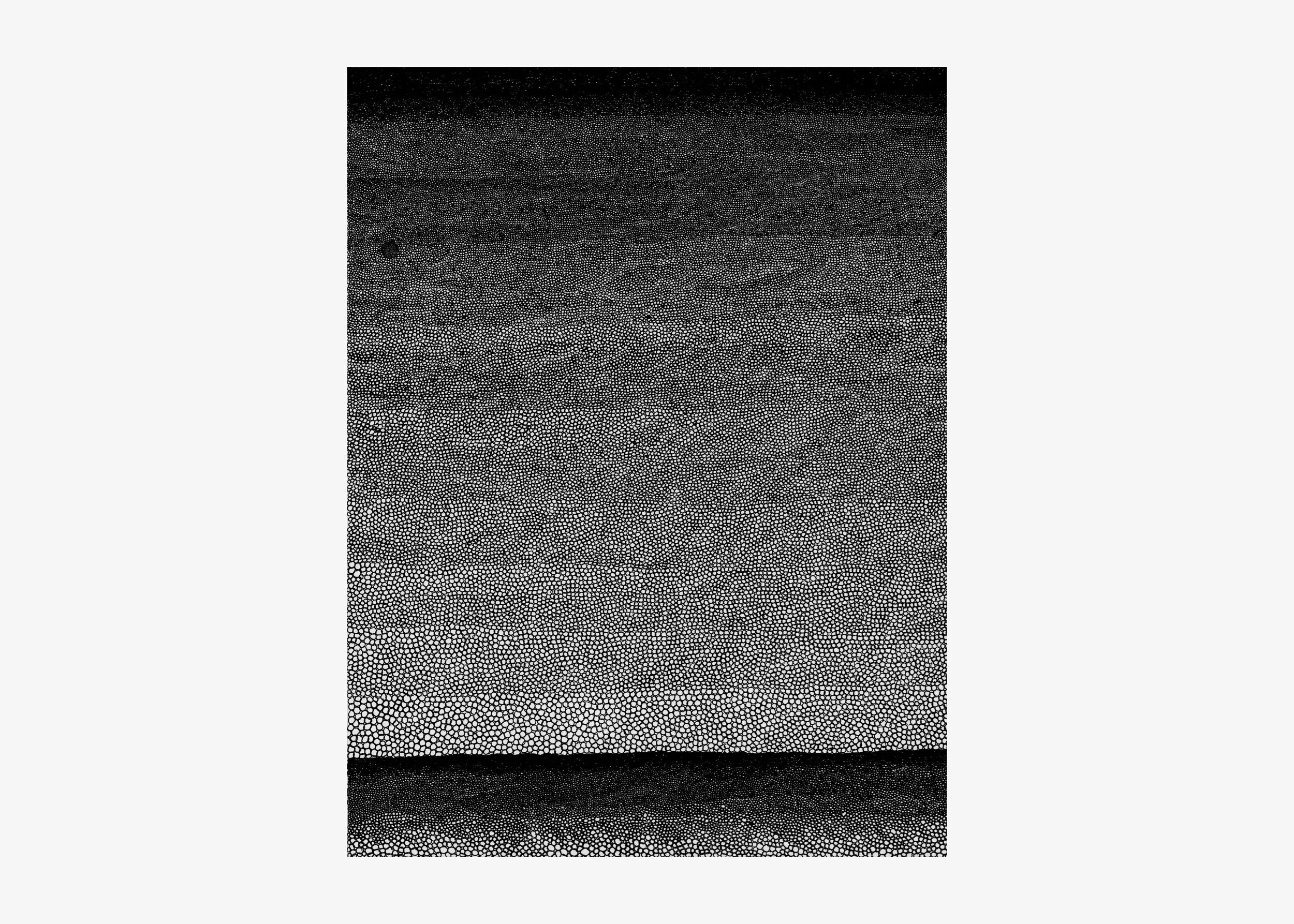   Horizons (2022)  
Ink on paper | 9" x 12" 