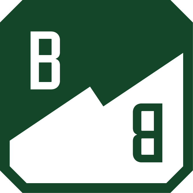 brooksydedesignbuild.com