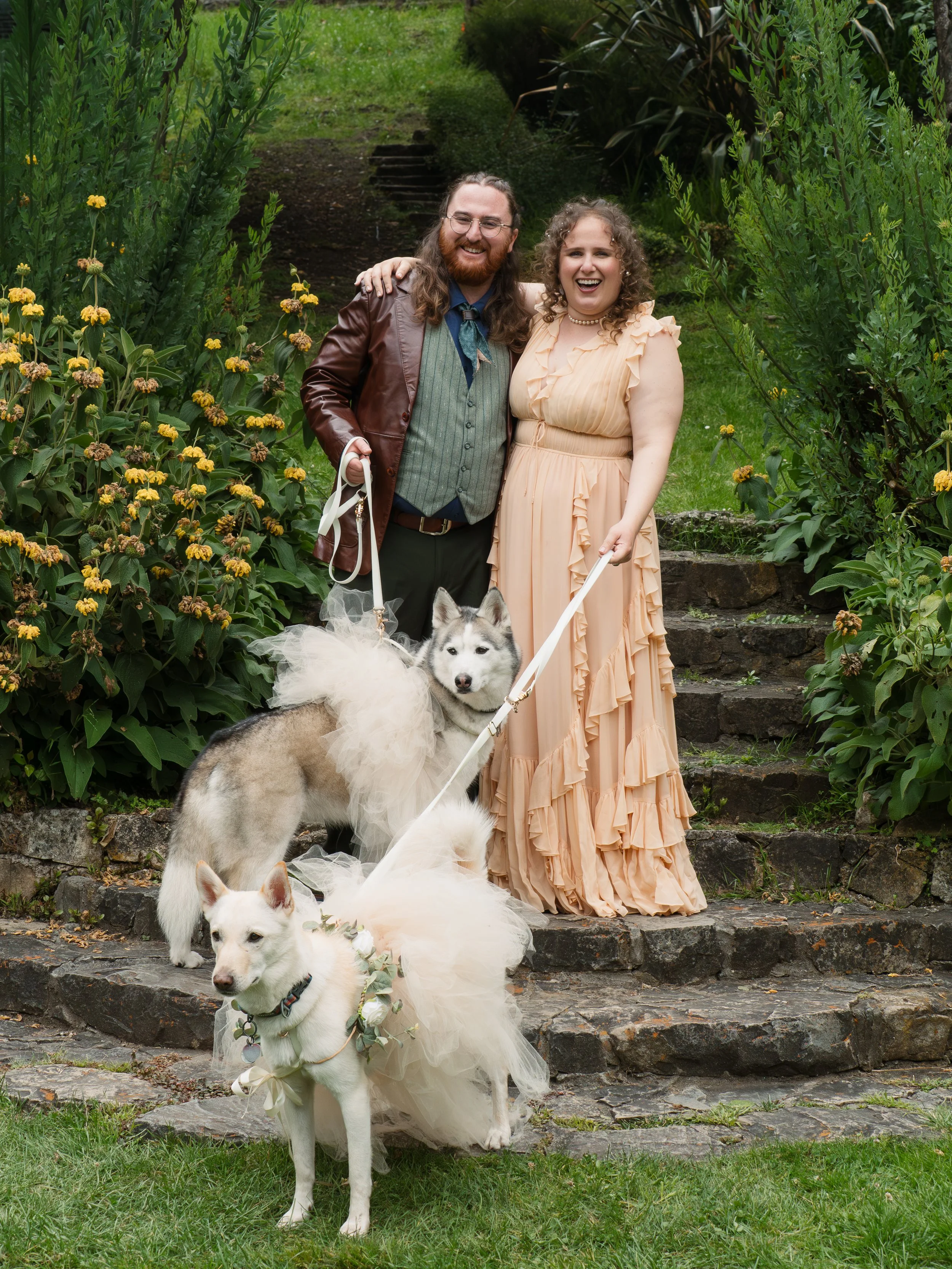 A smiling couple dressed in formal attire standing on stone steps in a lush garden with green plants and yellow flowers, along with two Siberian Huskies wearing white tutu accessories and floral collars.