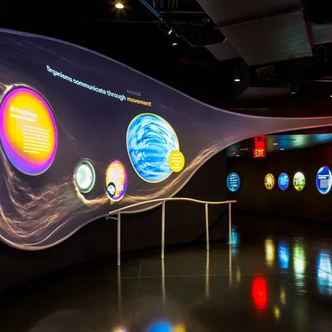 Museum exhibit with an illuminated interactive wall display showing information about organisms communicating through sound and movement, with a dark floor and a hallway in the background.