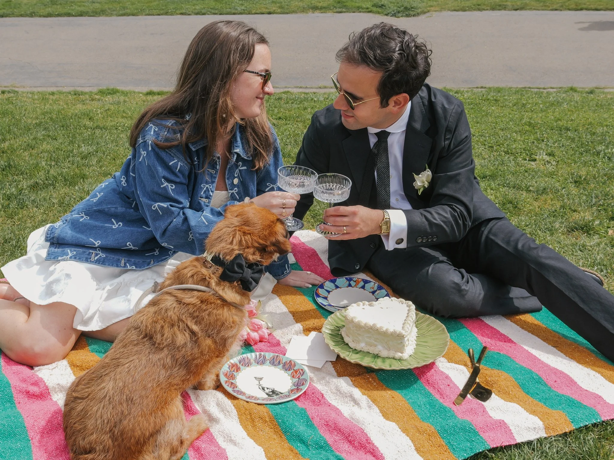 A couple having a picnic outdoors on a striped blanket, with a birthday cake, plates, and drinks, while a dog relaxes nearby. They are sitting on grass with a sidewalk and greenery in the background.